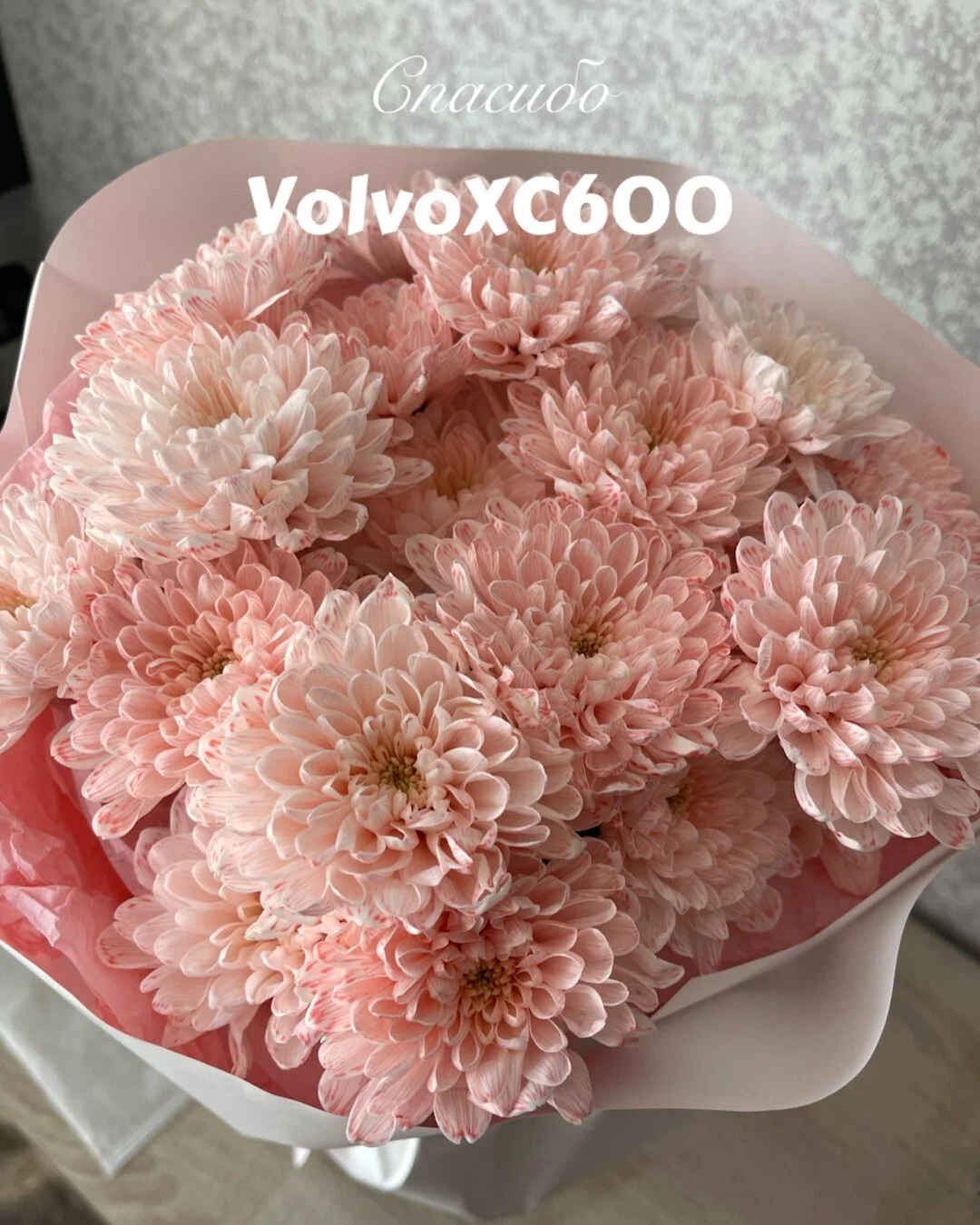 XXX Porn Photo of Nude NastyushaaLove 76