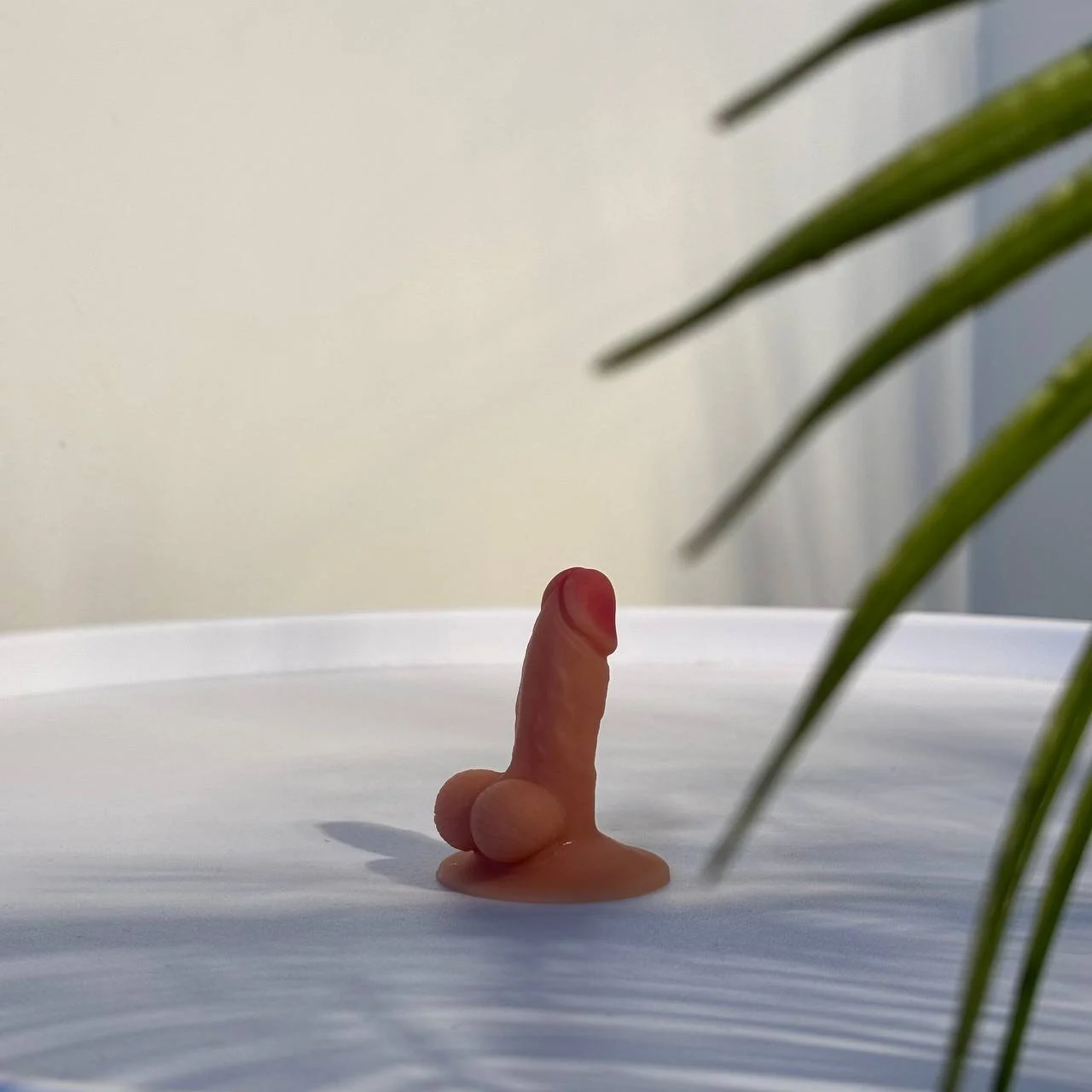 XXX Porn Photo of Nude Monica_Rayyy 13