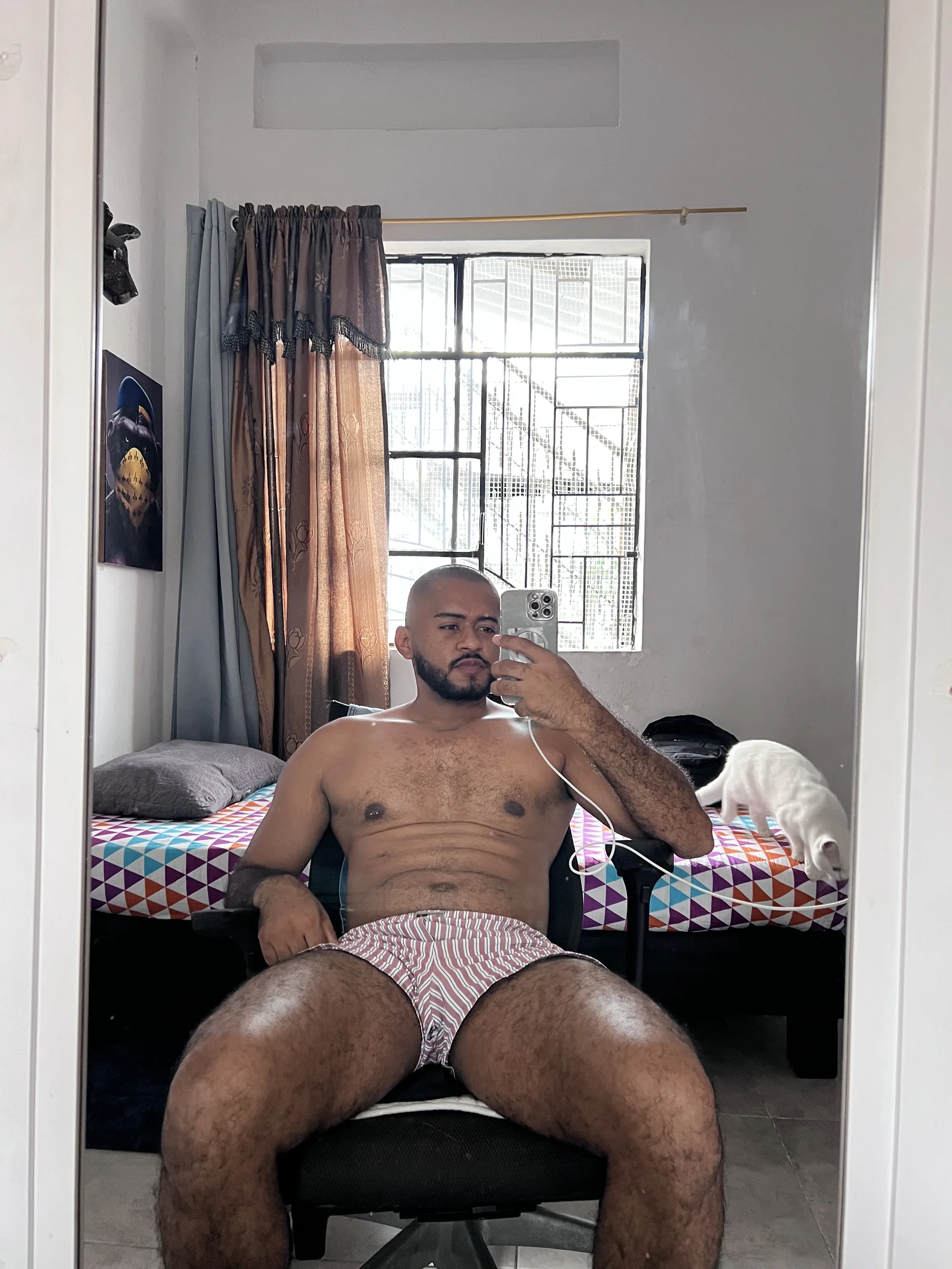 Hardboy_latin