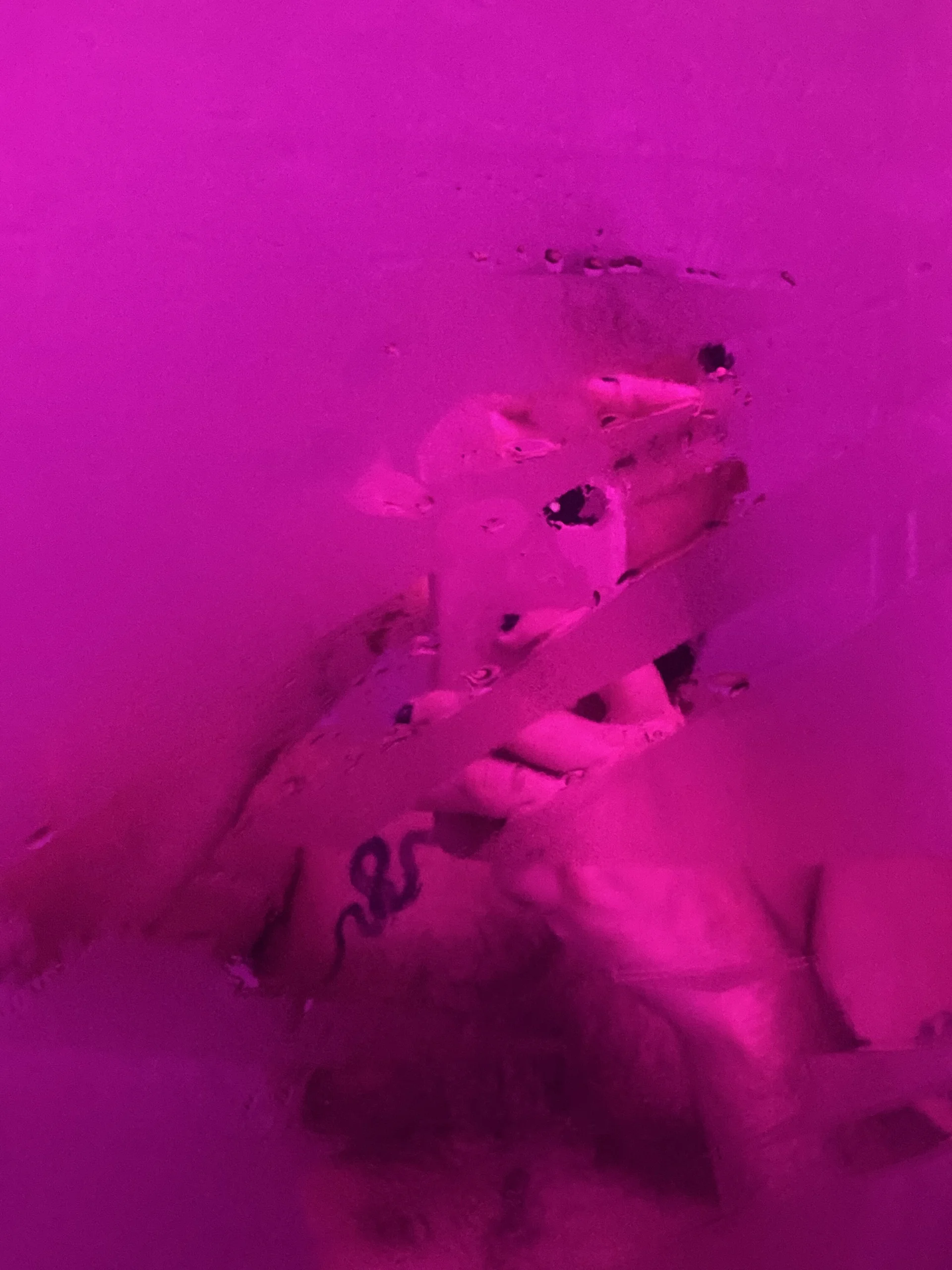 XXX Porn Photo of Nude nicolas_cox 12