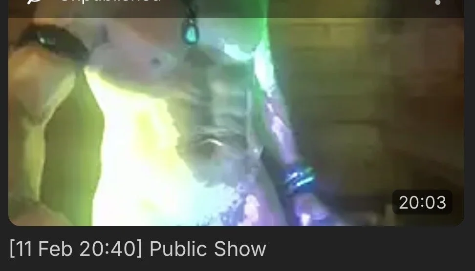 XXX Porn Photo of Nude SwordStallionVibes 30