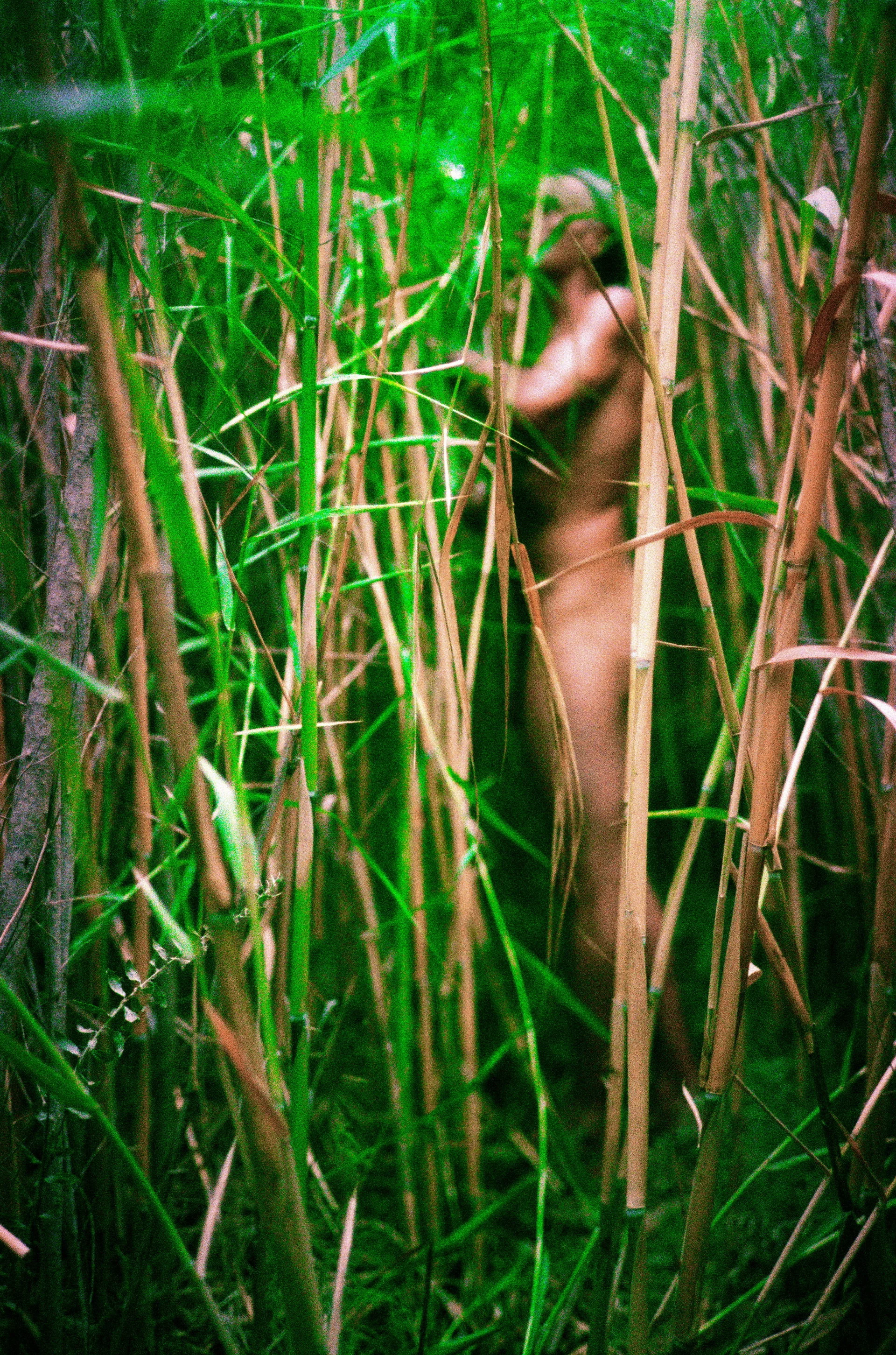 dog-naked