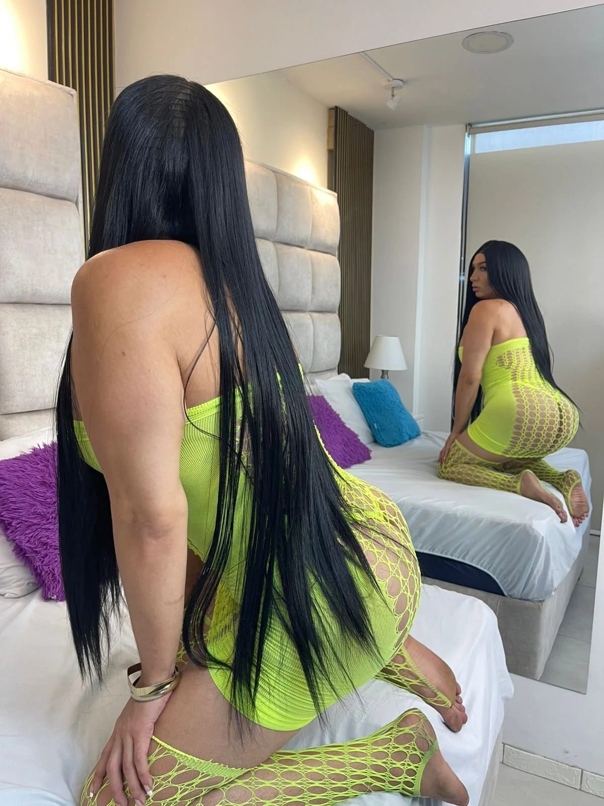 Taylor_Royal_