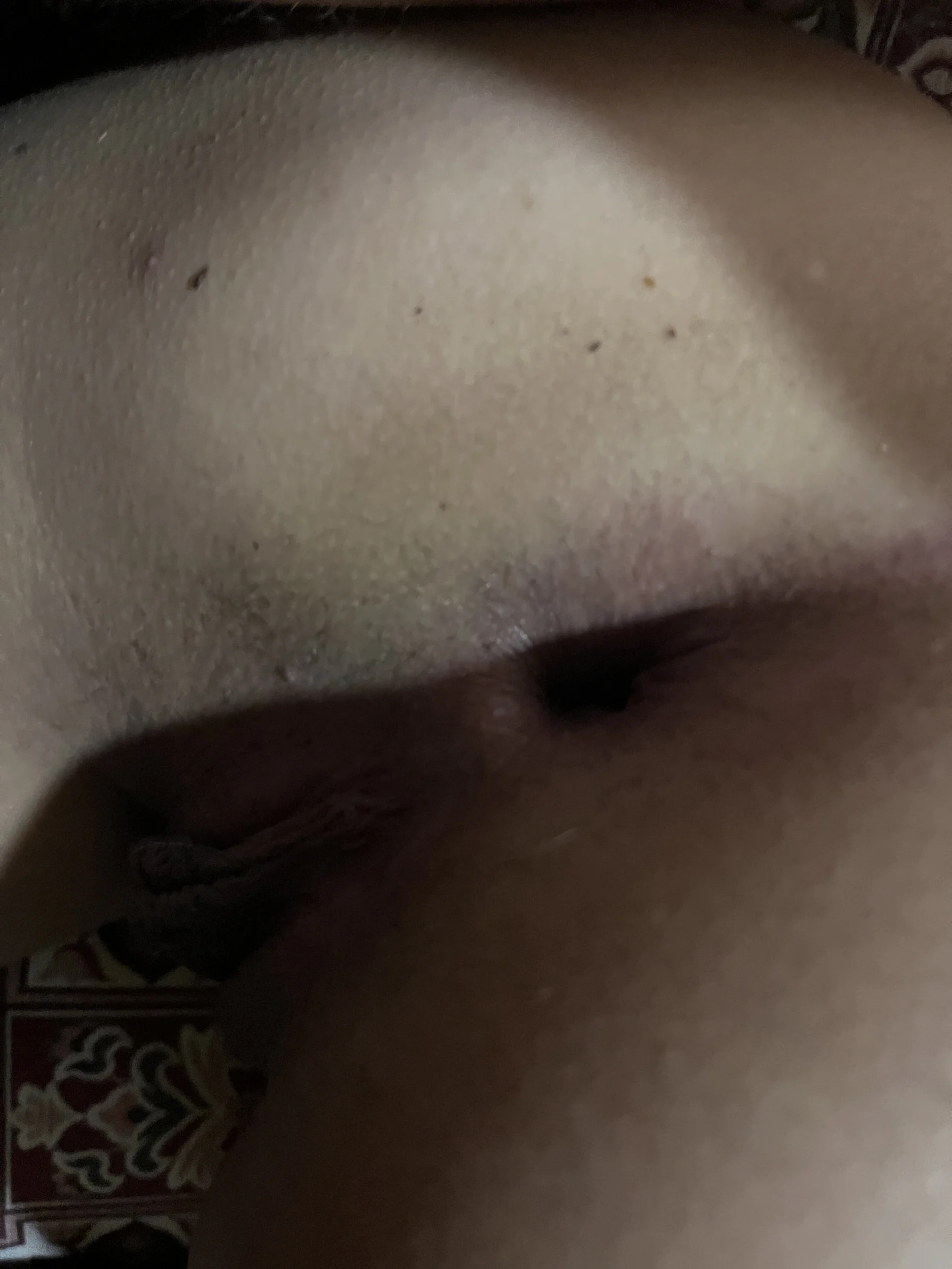 XXX Porn Photo of Nude mustican422 28