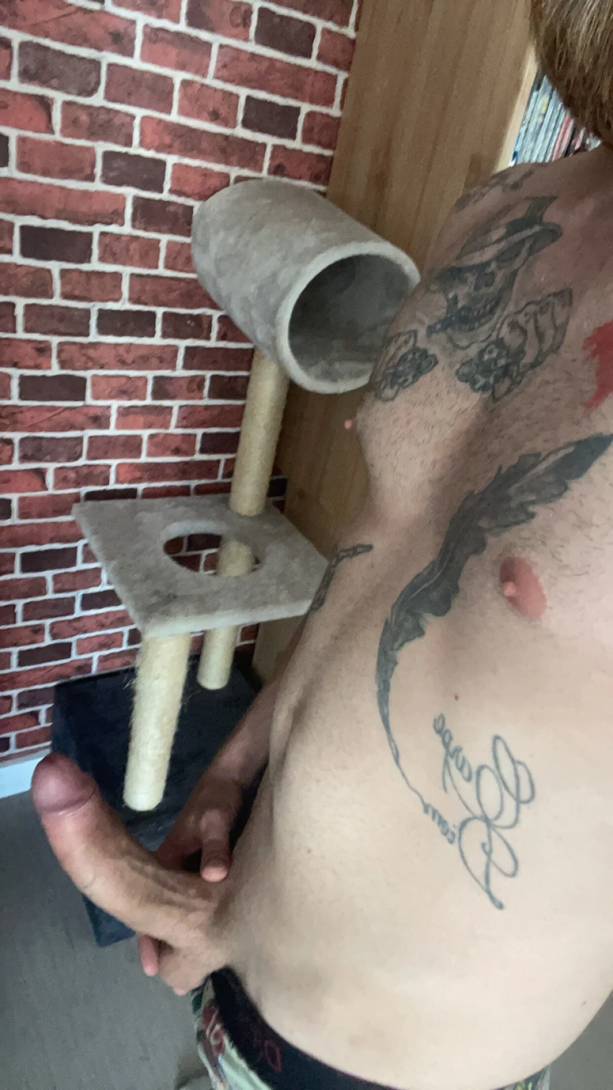 XXX Porn Photo of Nude Bikerhot883hd 7