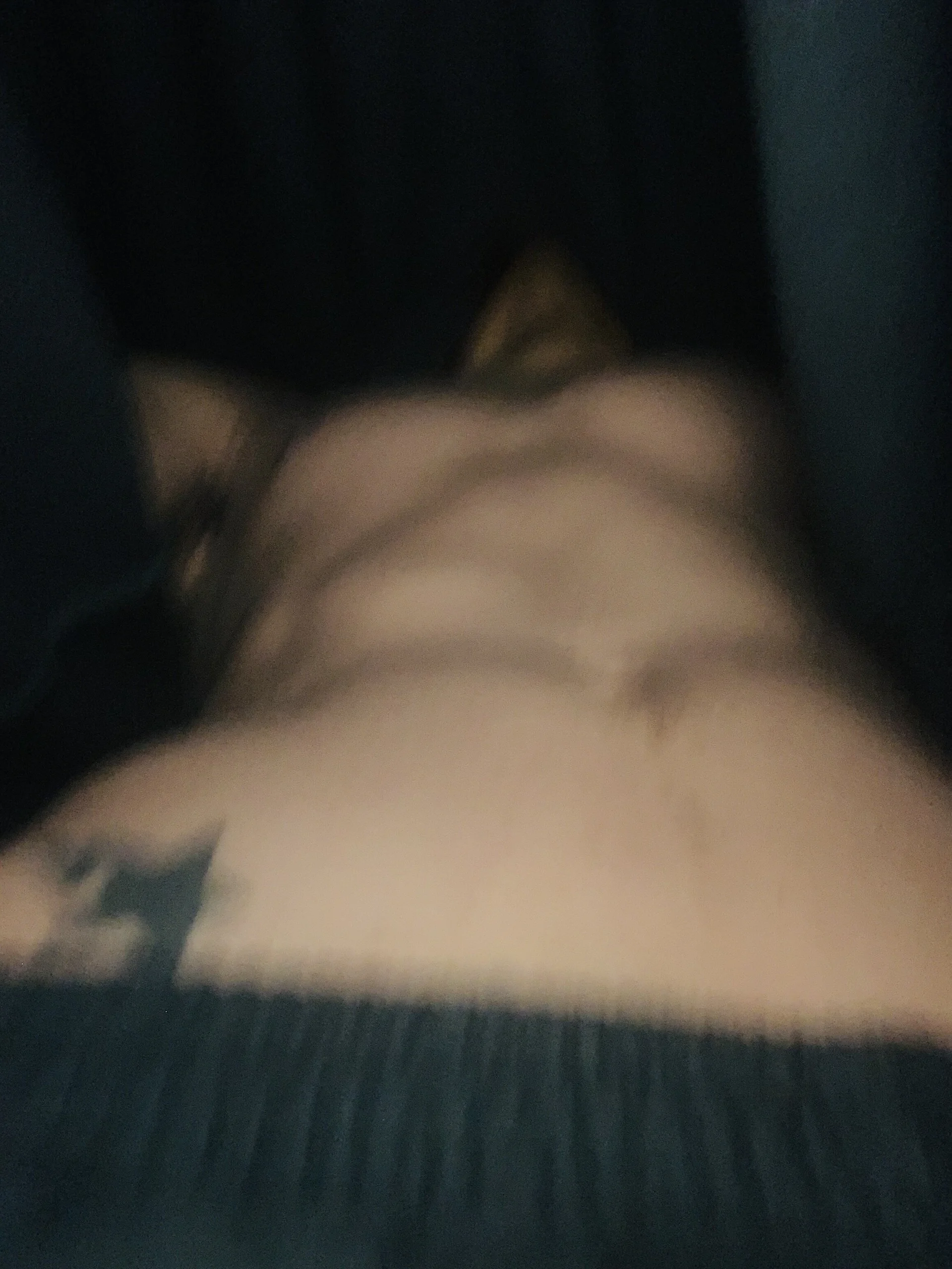XXX Porn Photo of Nude William-ellish 2