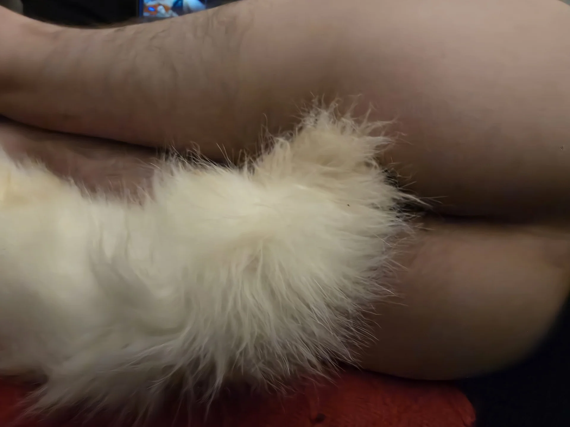 XXX Porn Photo of Nude Johnnytailplug 14