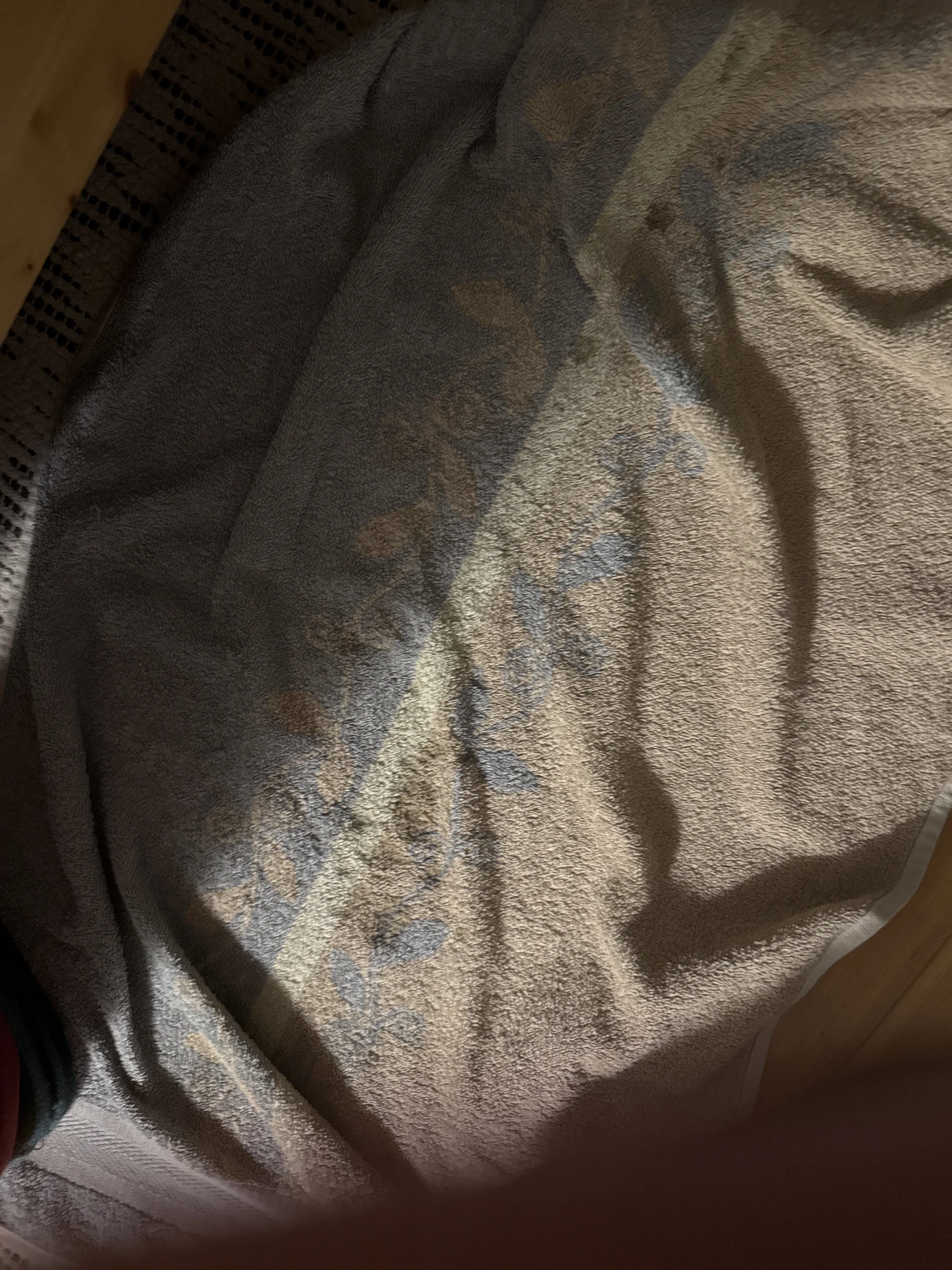 XXX Porn Photo of Nude VelvetRagottiOG 8