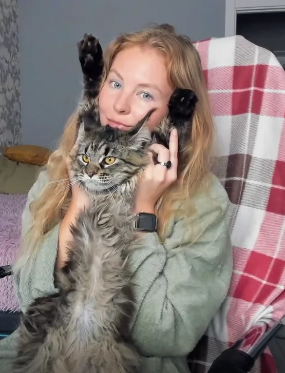 XXX Porn Photo of Nude Cuddle_Cat 2