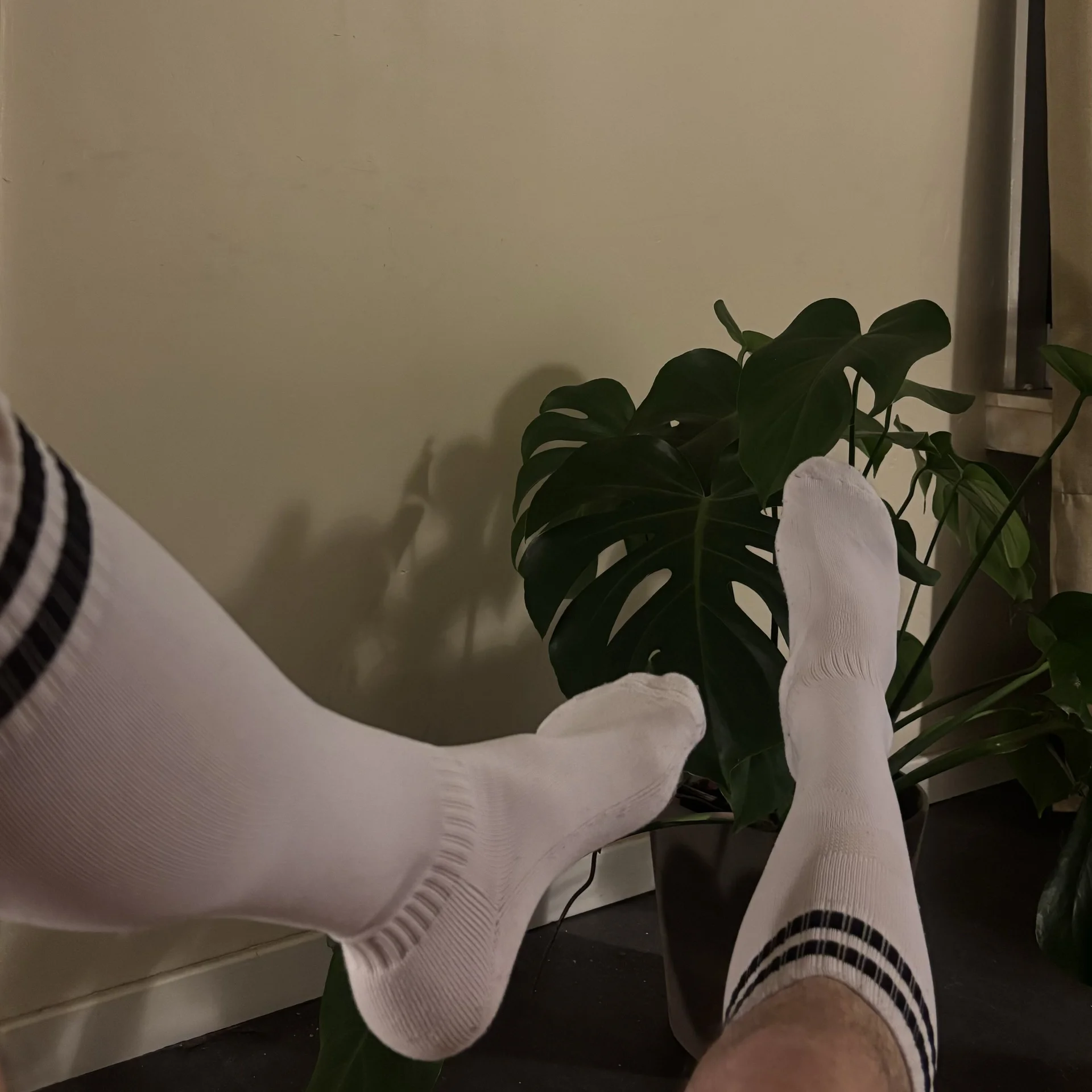 XXX Porn Photo of Nude gayboysocks 5