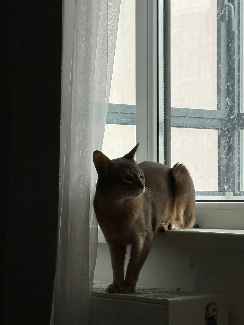 XXX Porn Photo of Nude MiaCuteMeow 23