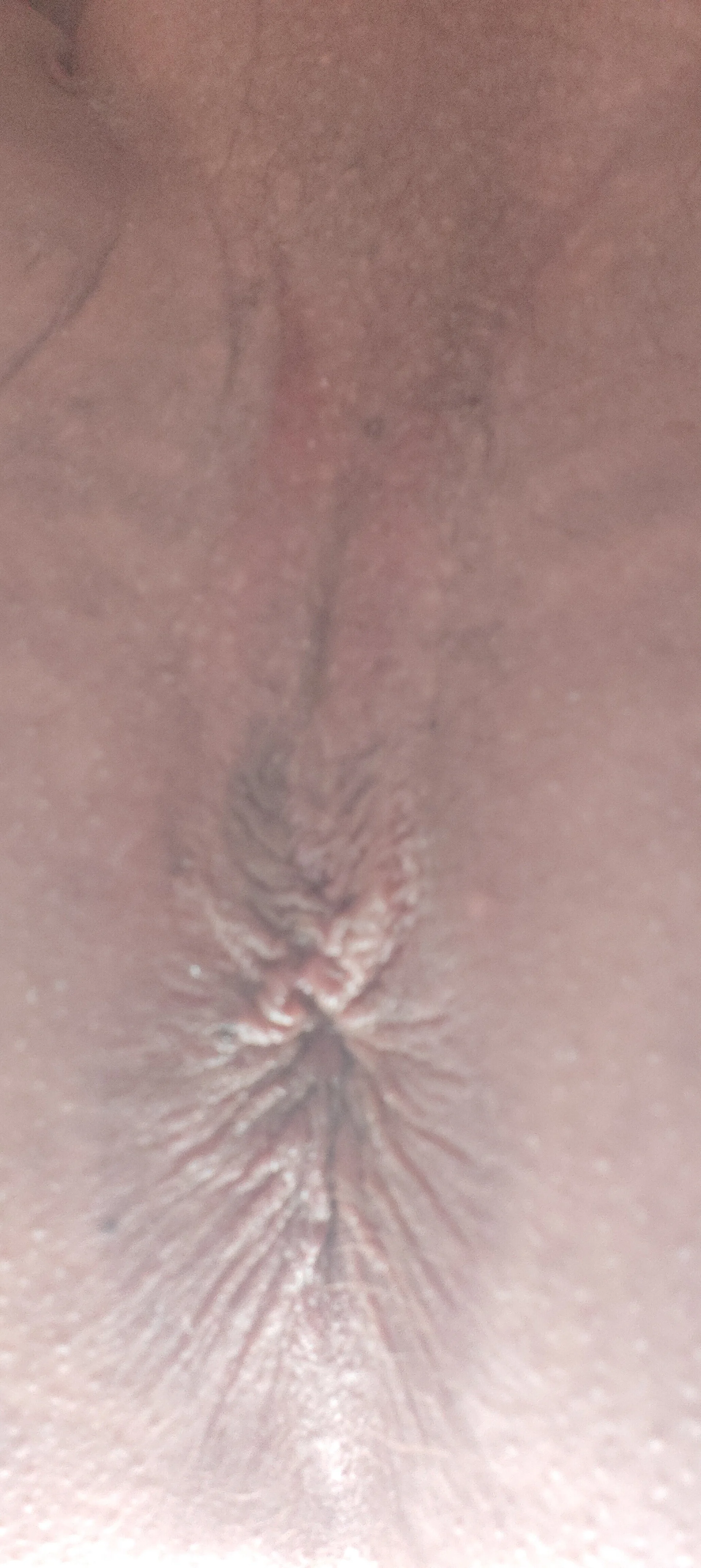 XXX Porn Photo of Nude famledog 3