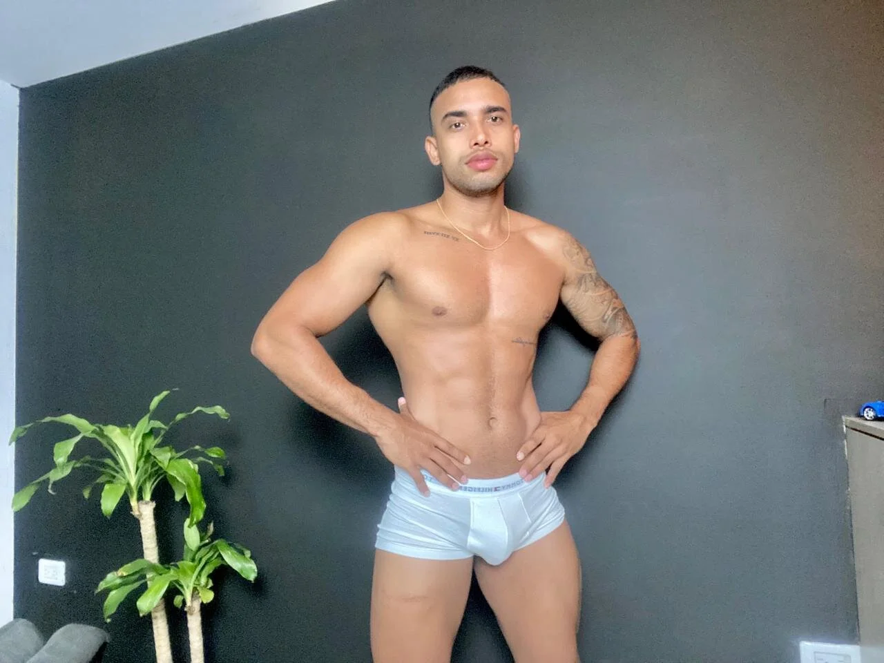 XXX Porn Photo of Nude LincomAmith 2