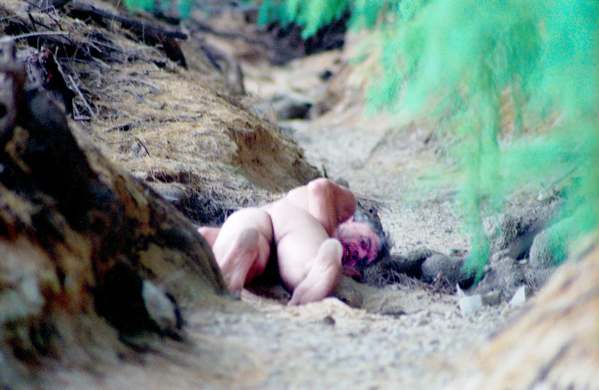 XXX Porn Photo of Nude dog-naked 4