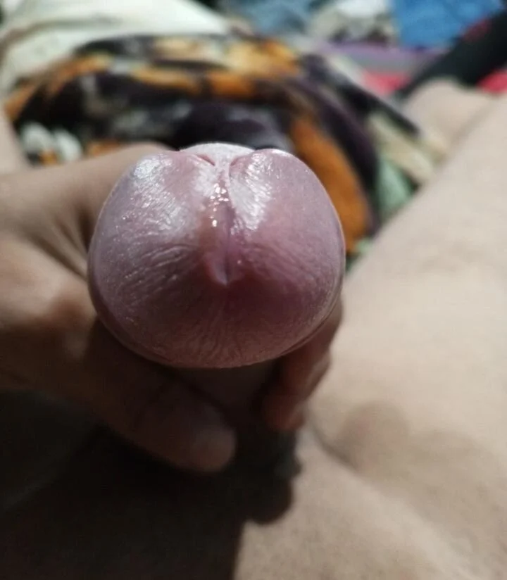 XXX Porn Photo of Nude PITBuk_708 7