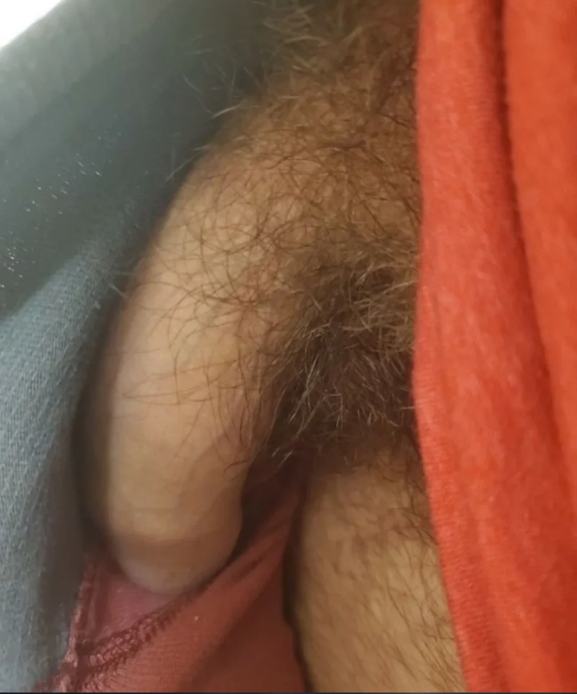 XXX Porn Photo of Nude HairyGayCouple 11