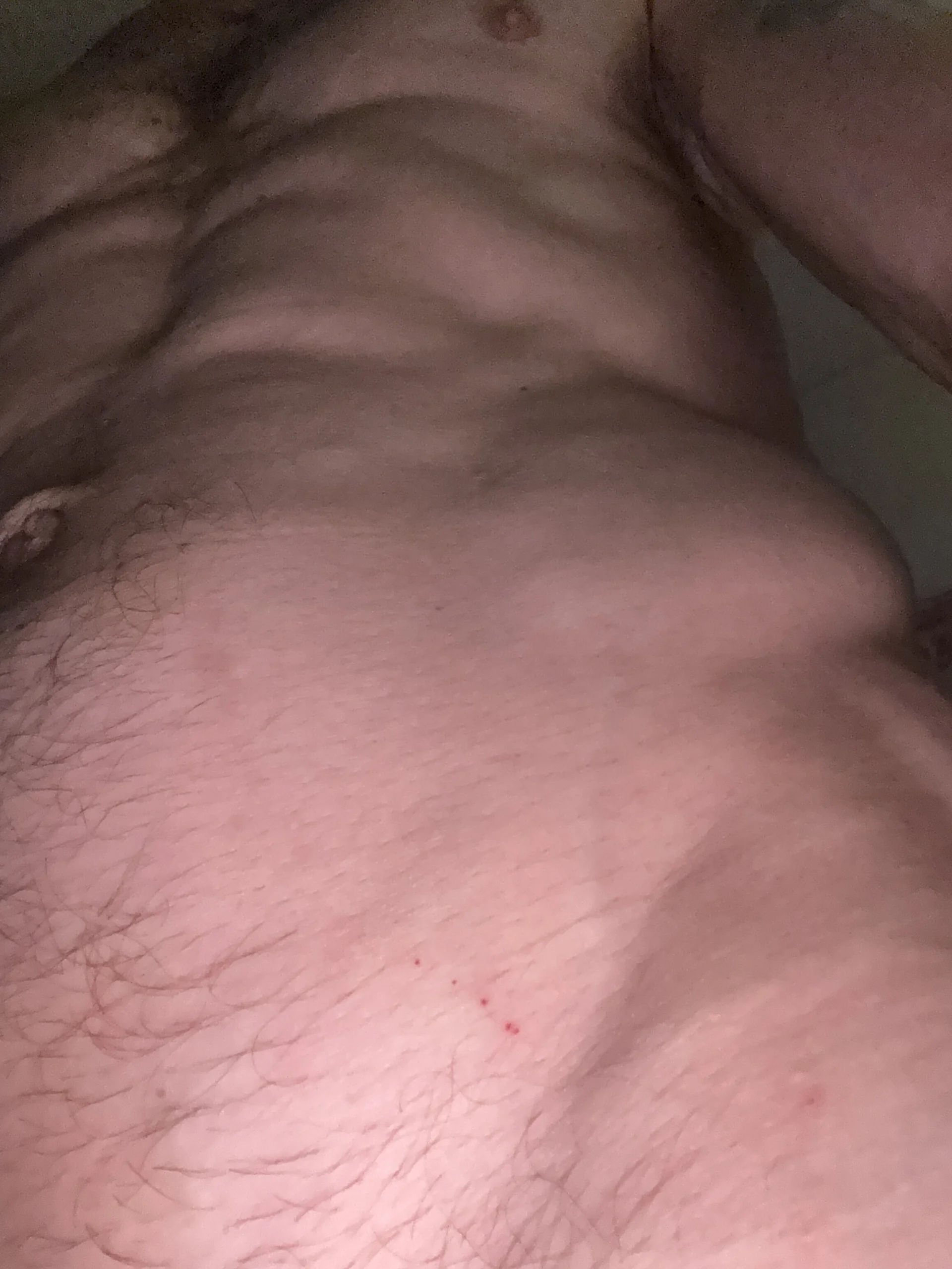 XXX Porn Photo of Nude Gamecock18 3