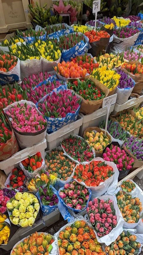 XXX Porn Photo of Nude Juliana_News 3
