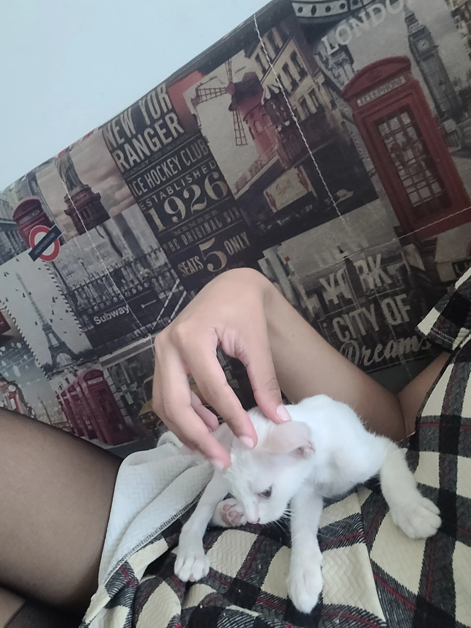 XXX Porn Photo of Nude Lovelyamyy 8