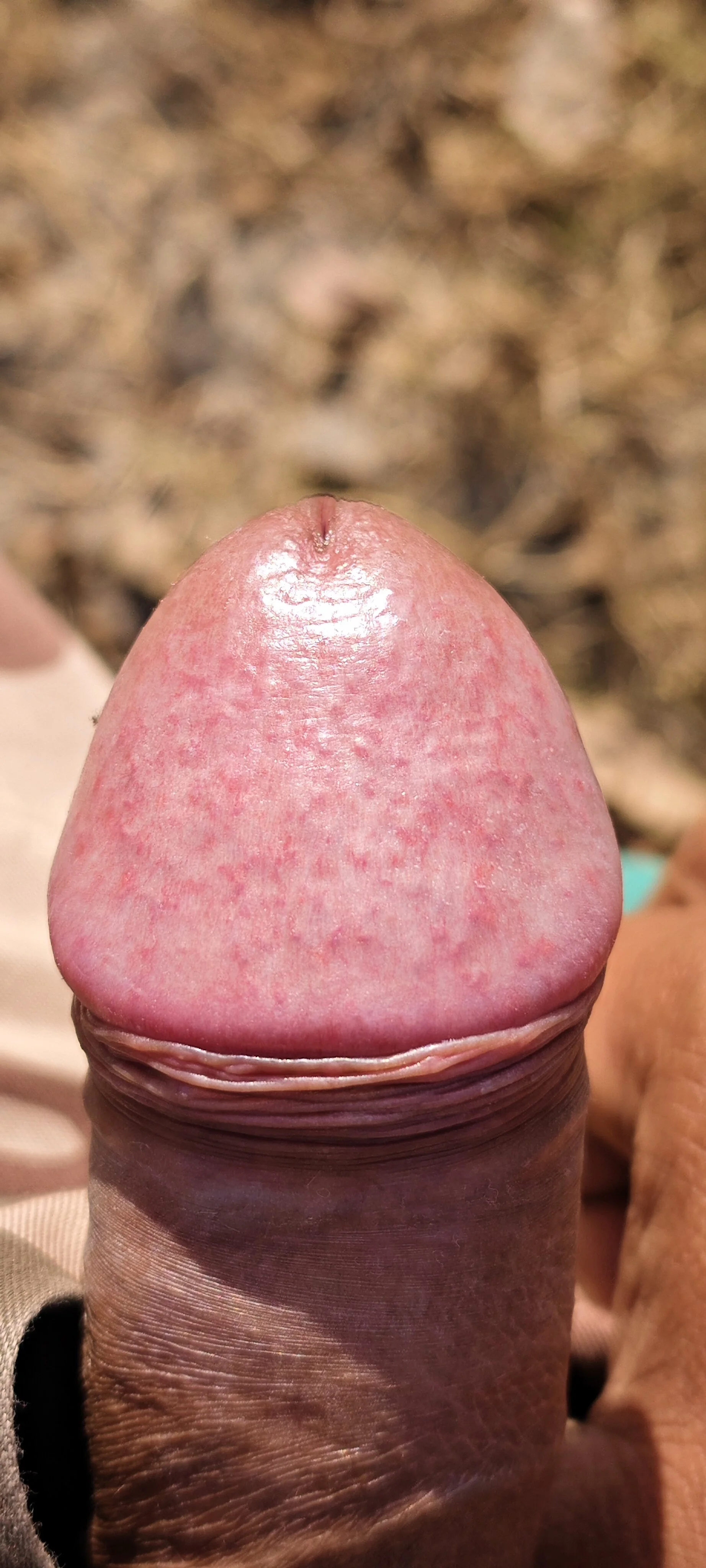 XXX Porn Photo of Nude VibeMeBB 9