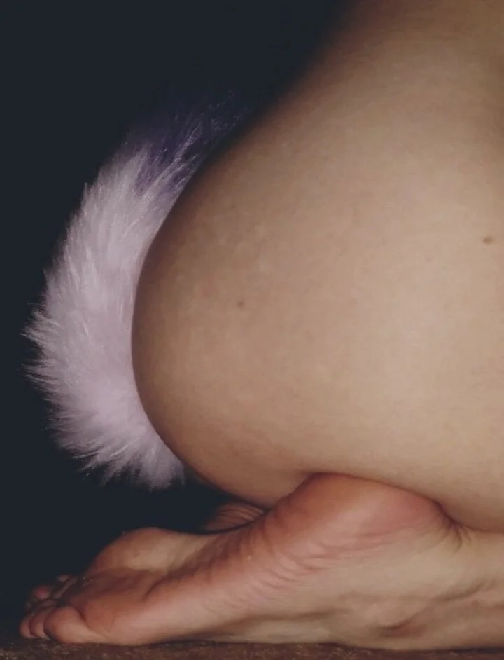 XXX Porn Photo of Nude Pomamski-excellence 3