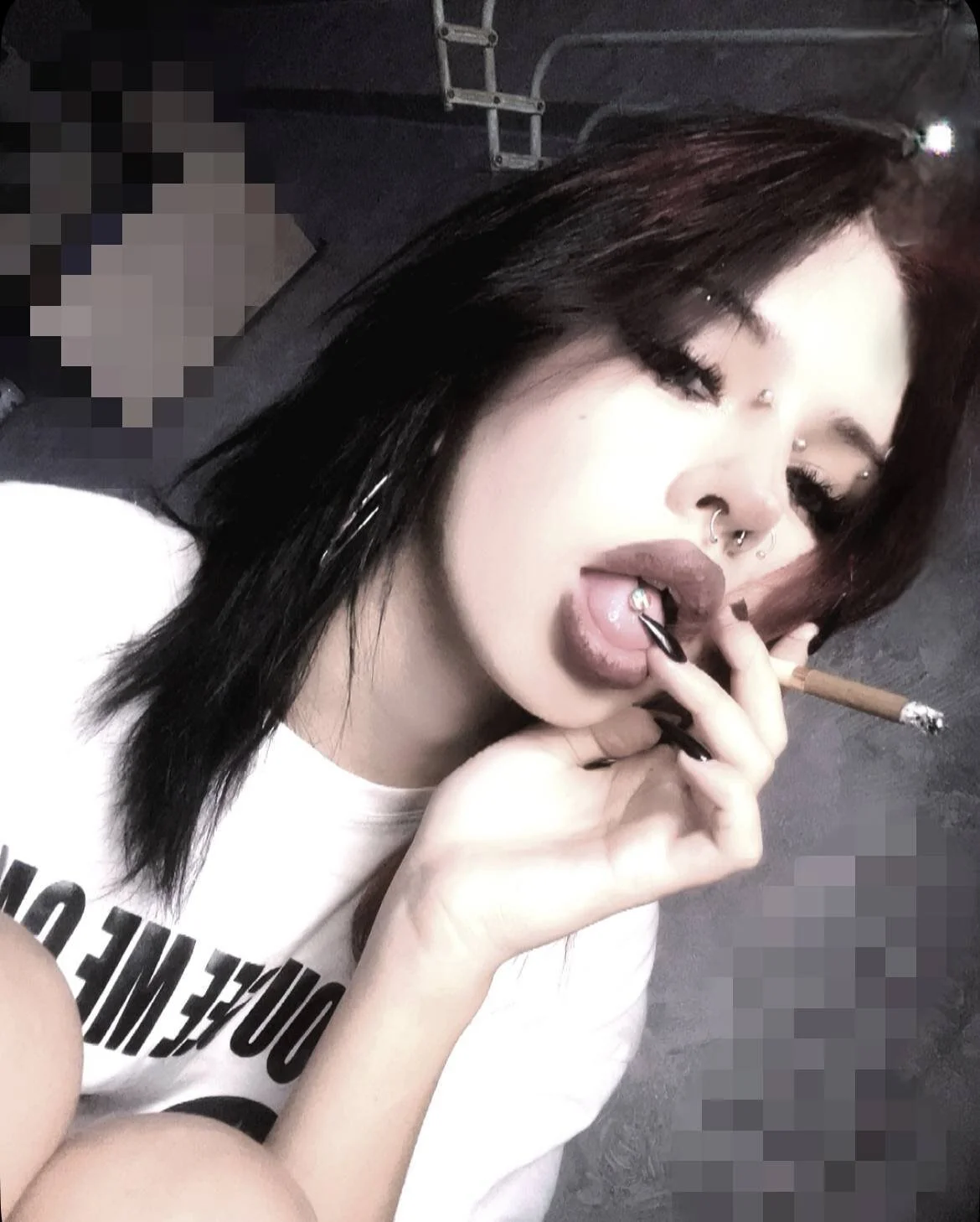 Mallory_polly