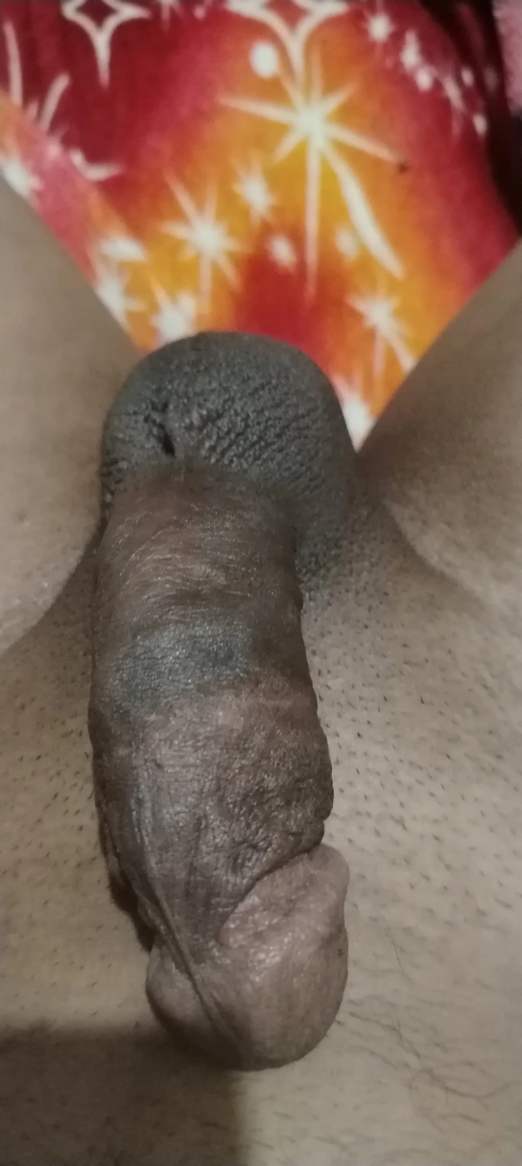 XXX Porn Photo of Nude Mmm45455 3