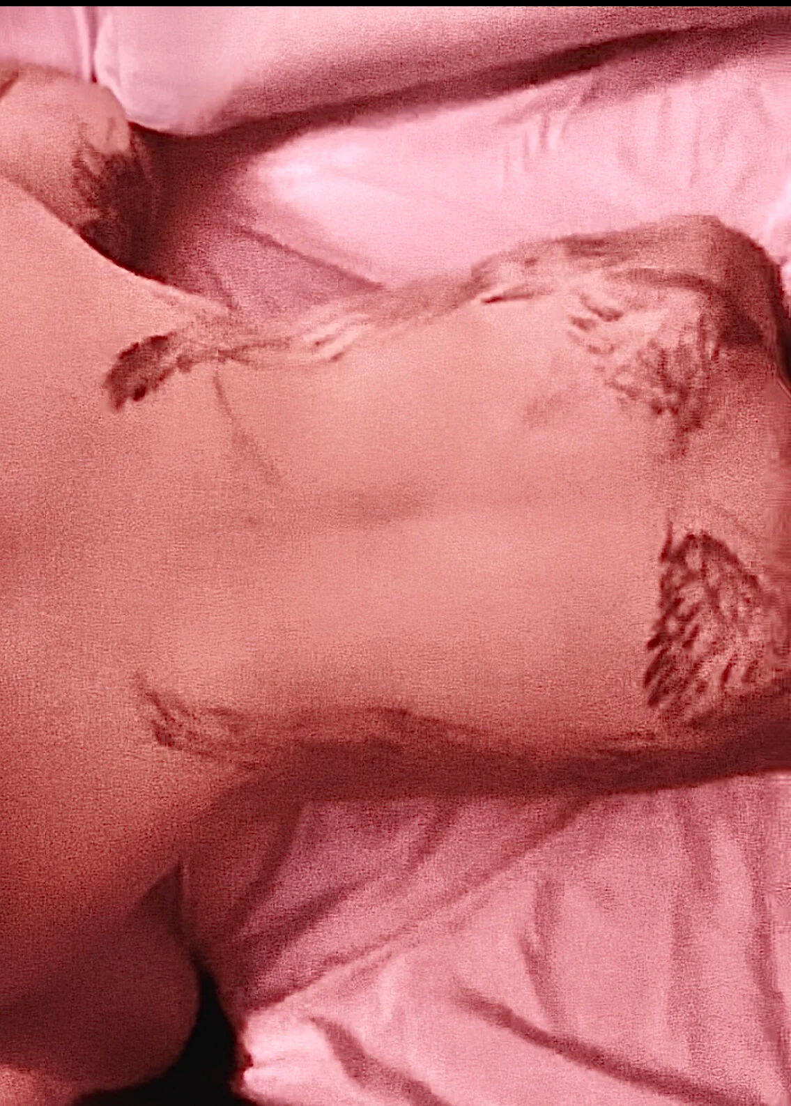XXX Porn Photo of Nude xxxKarmaNikole 1