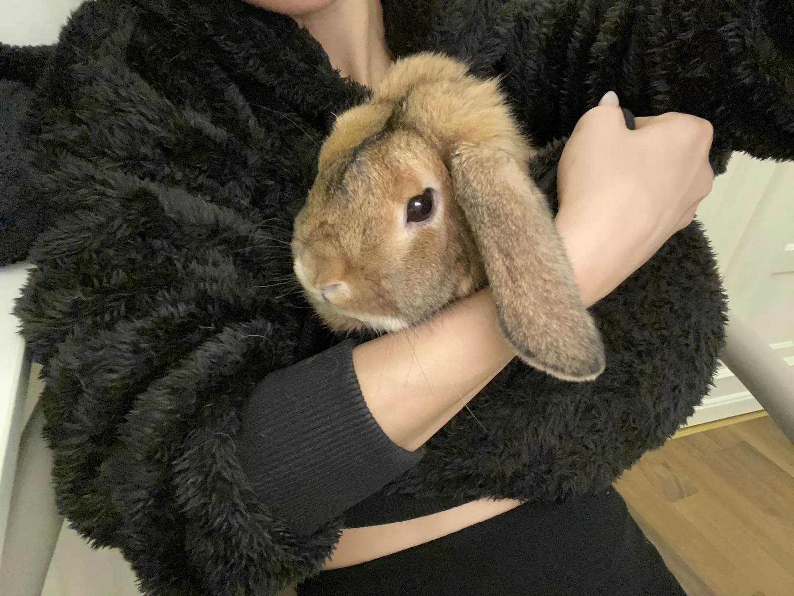 XXX Porn Photo of Nude KirstenDanston 10