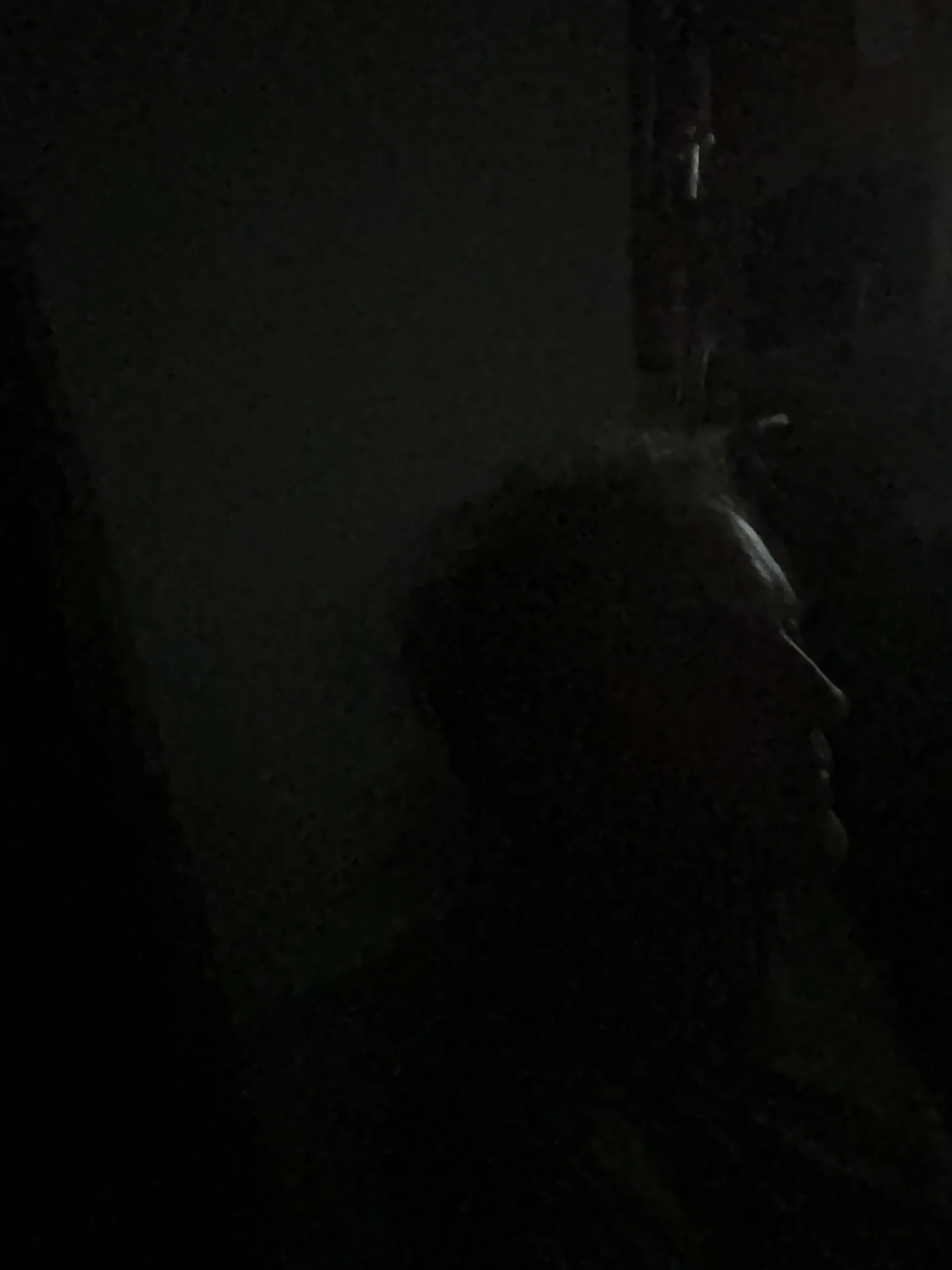 XXX Porn Photo of Nude douglaslond 2