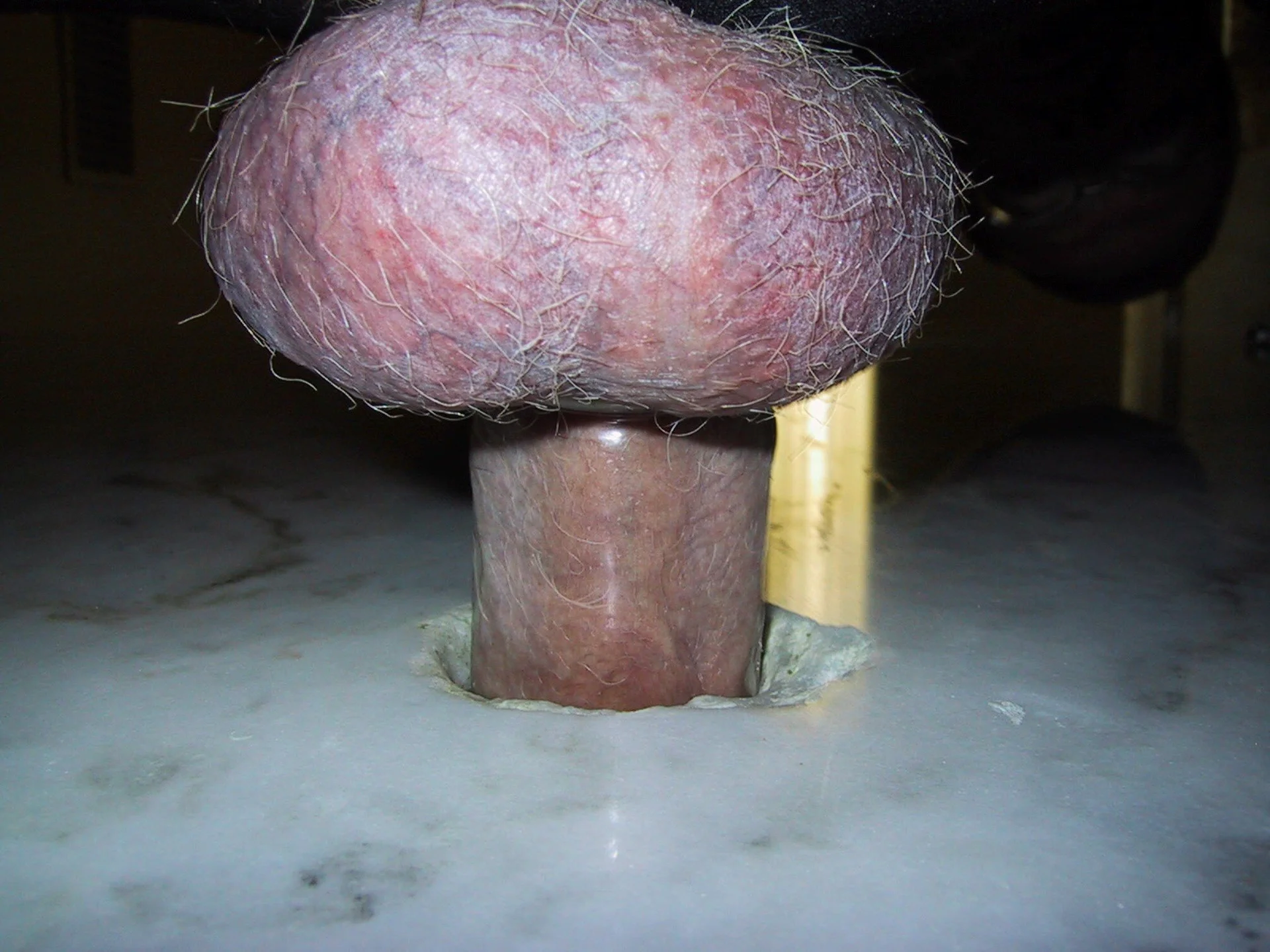XXX Porn Photo of Nude rocky8844 109