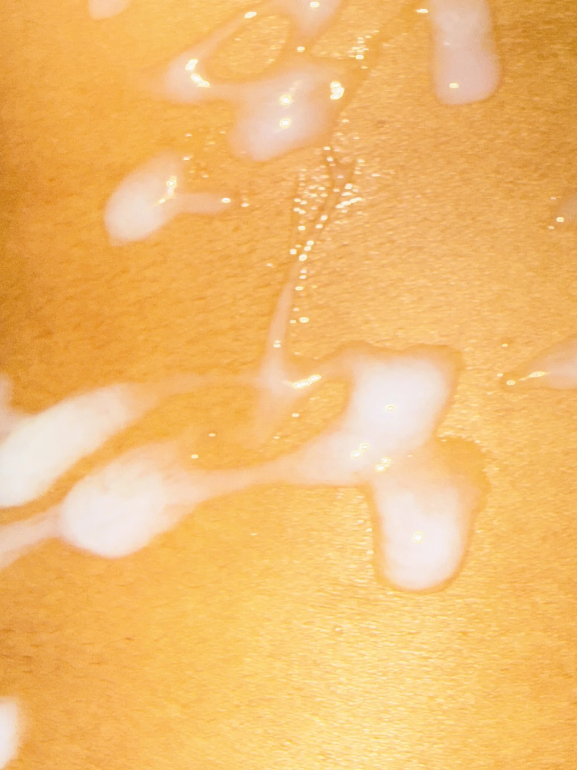 XXX Porn Photo of Nude angelwavy 92