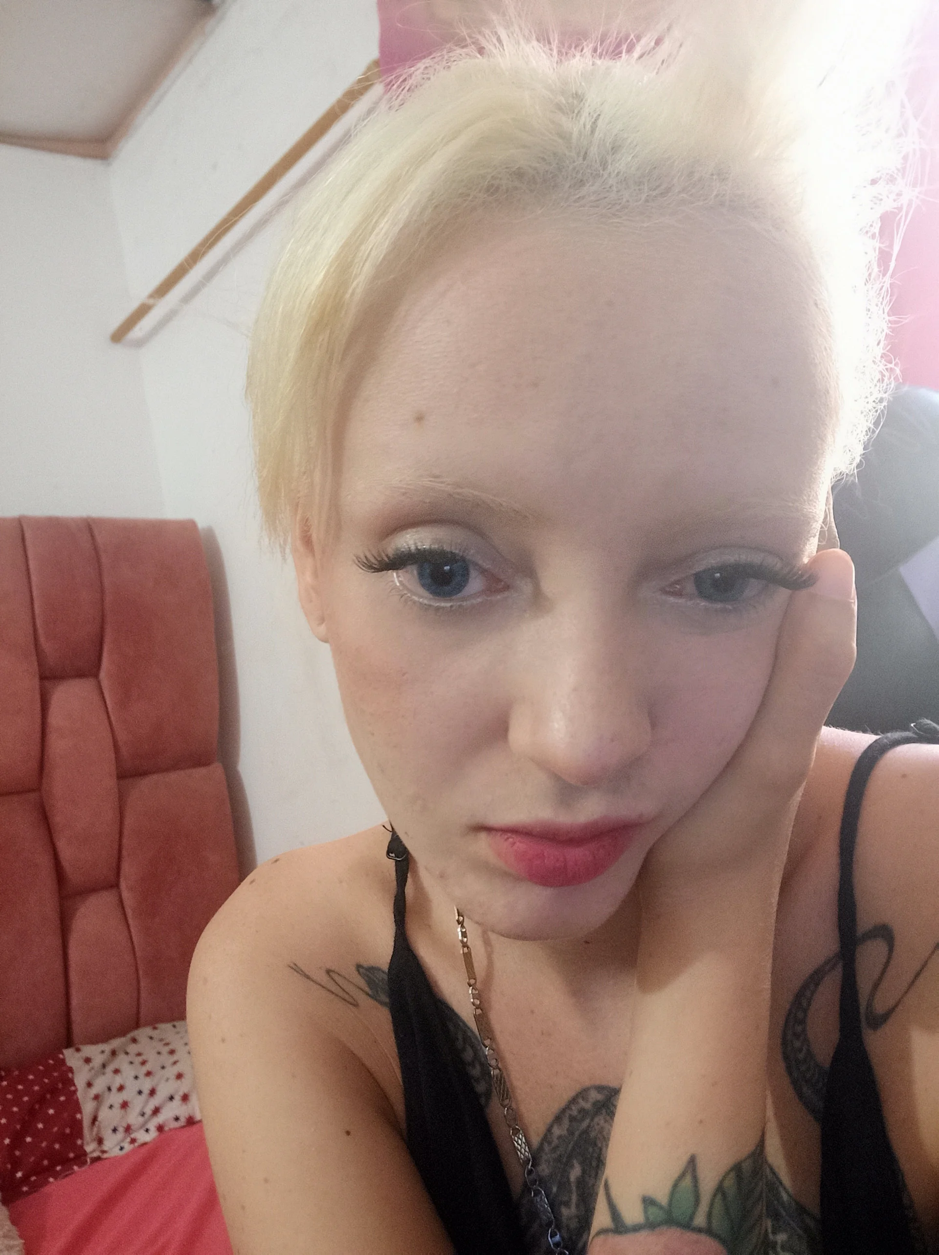 XXX Porn Photo of Nude barbara_anal_squirt_ 1512
