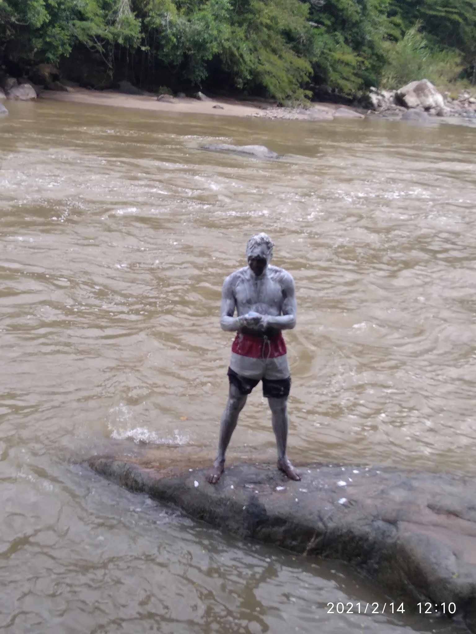 XXX Porn Photo of Nude sharpei 8