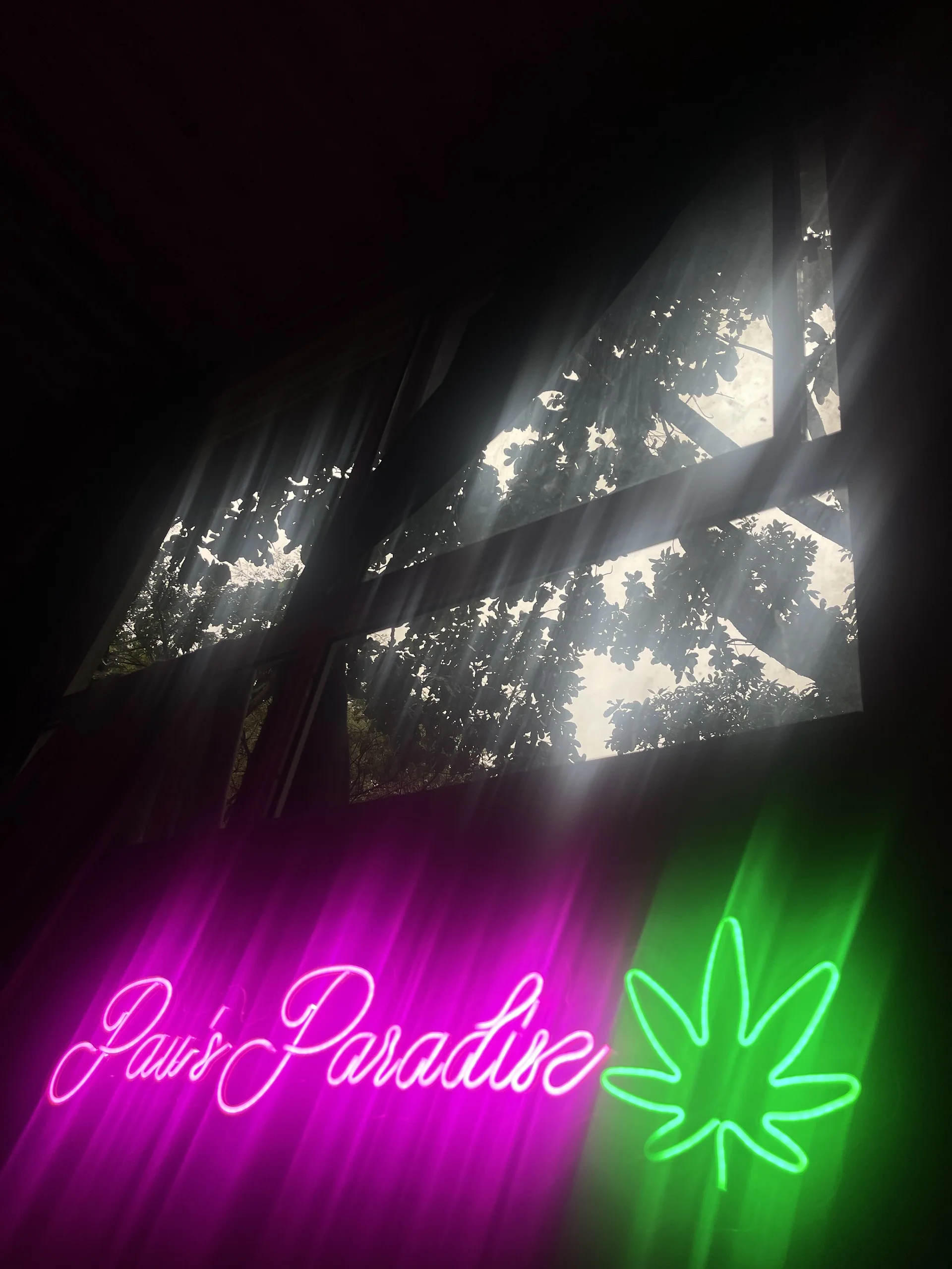 XXX Porn Photo of Nude BlazedPauX 276