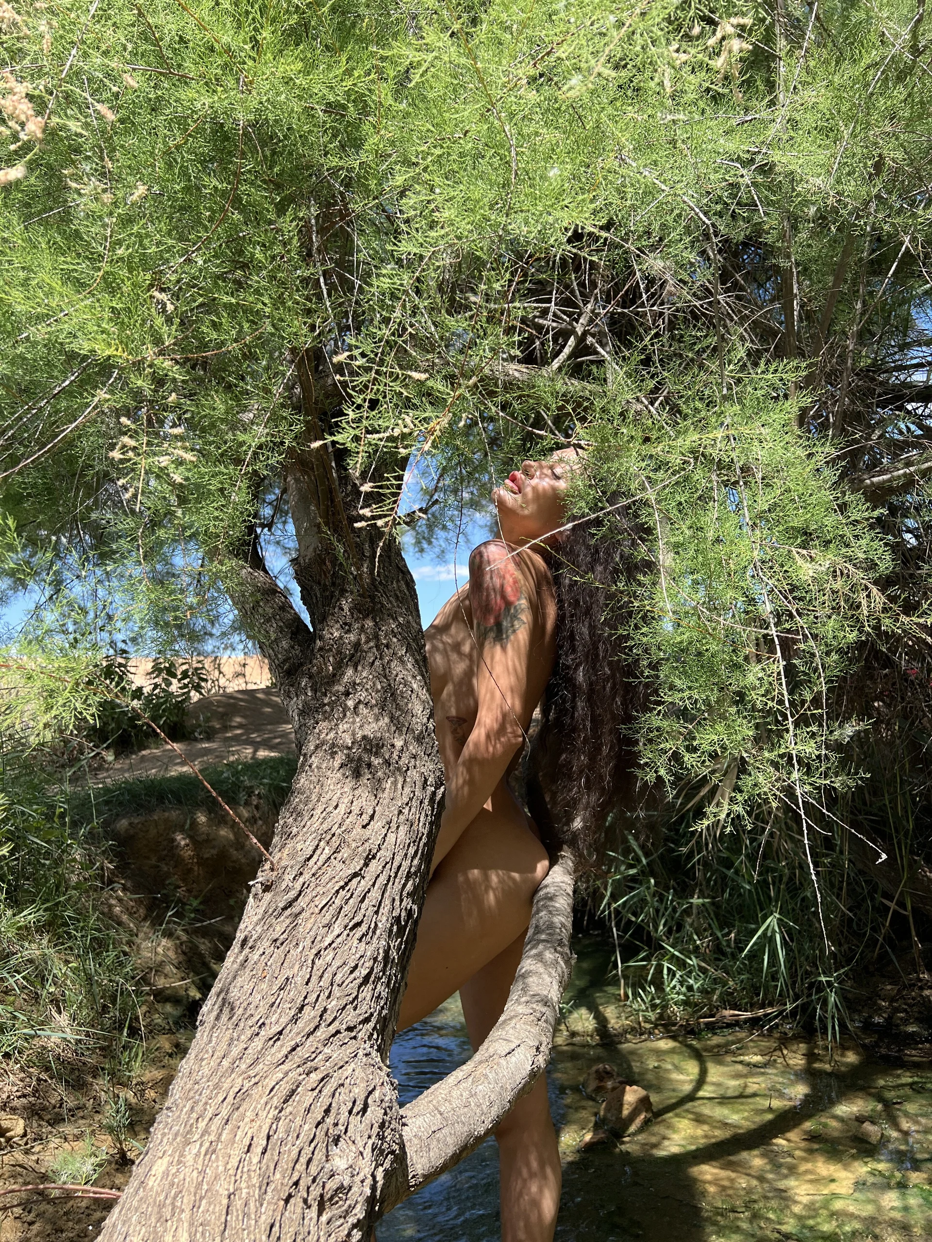 XXX Porn Photo of Nude evagreymini 3