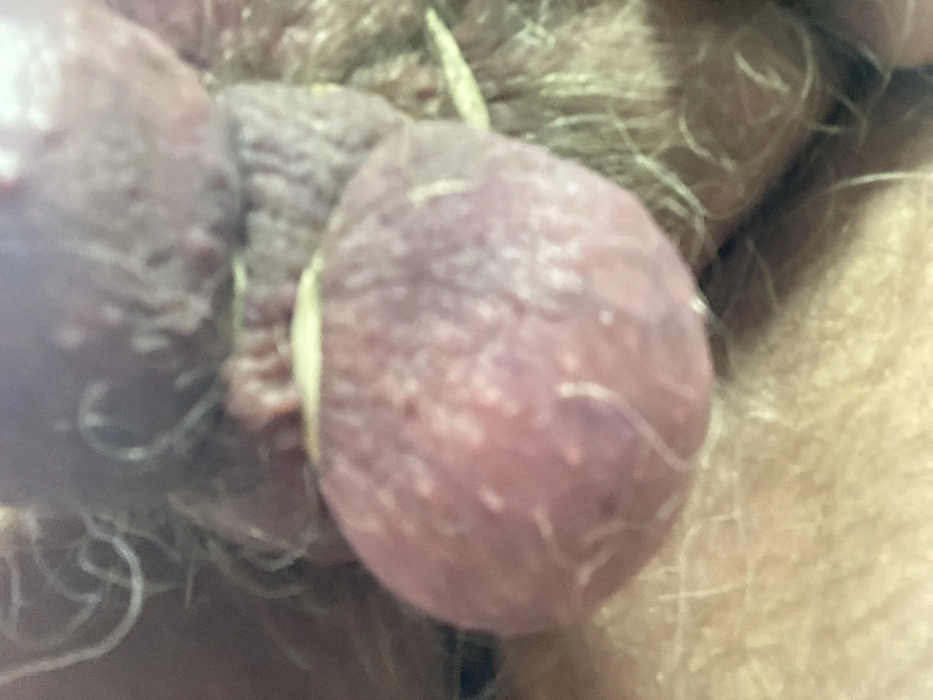XXX Porn Photo of Nude CBTluver 43
