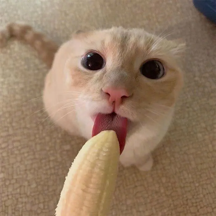 XXX Porn Photo of Nude Nana_Chu 11