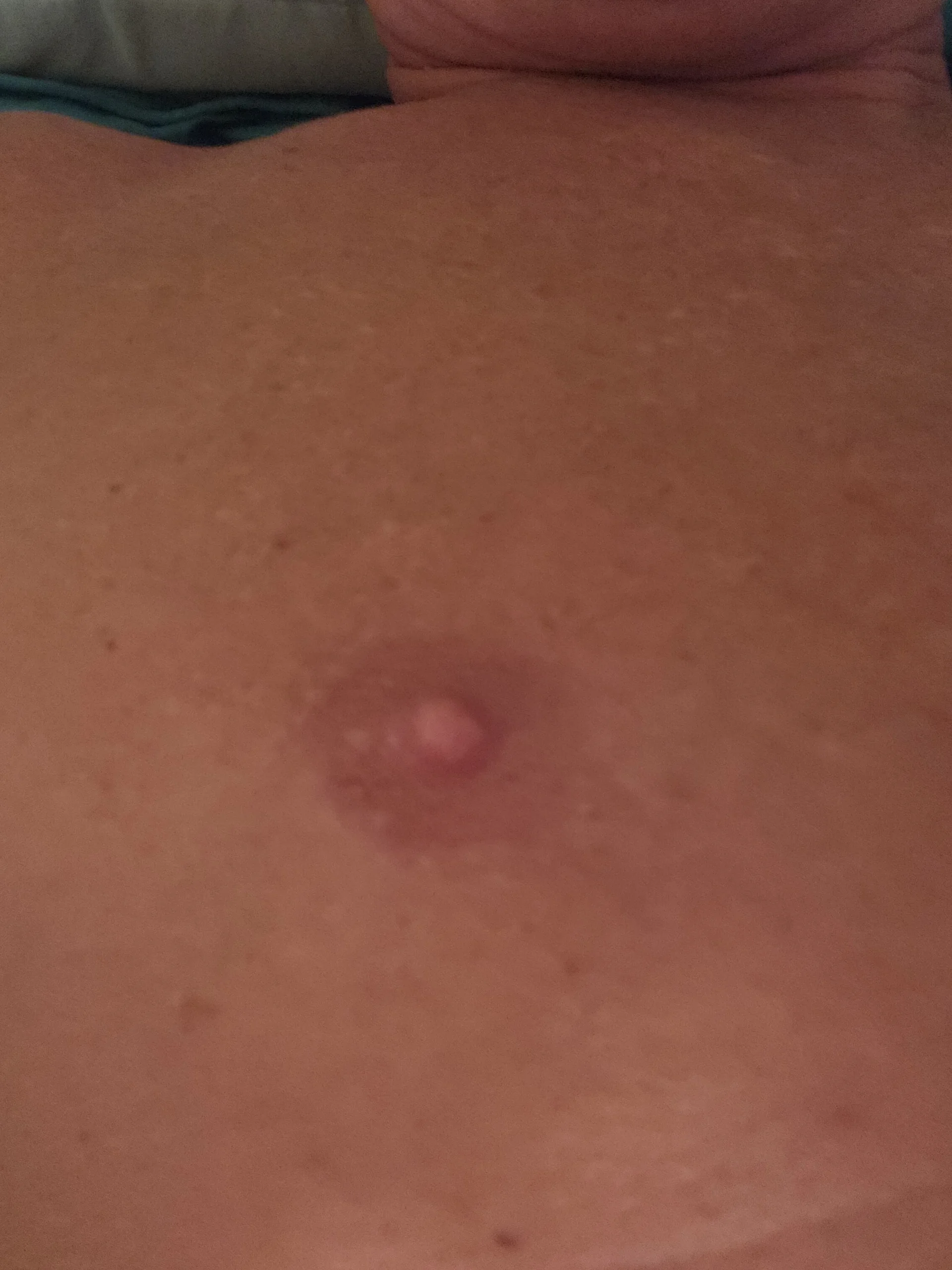 XXX Porn Photo of Nude Bigtater1999 9
