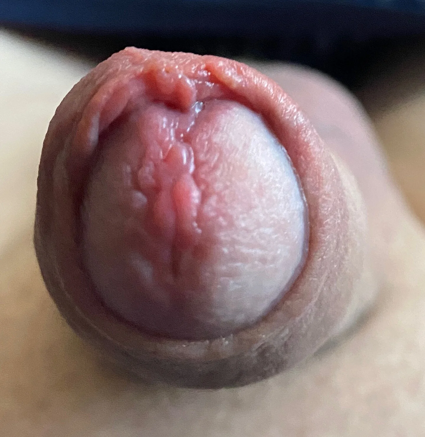 XXX Porn Photo of Nude Sklavekay 46