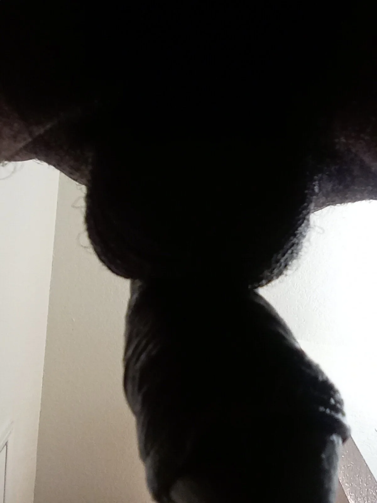 XXX Porn Photo of Nude Masternasty 9
