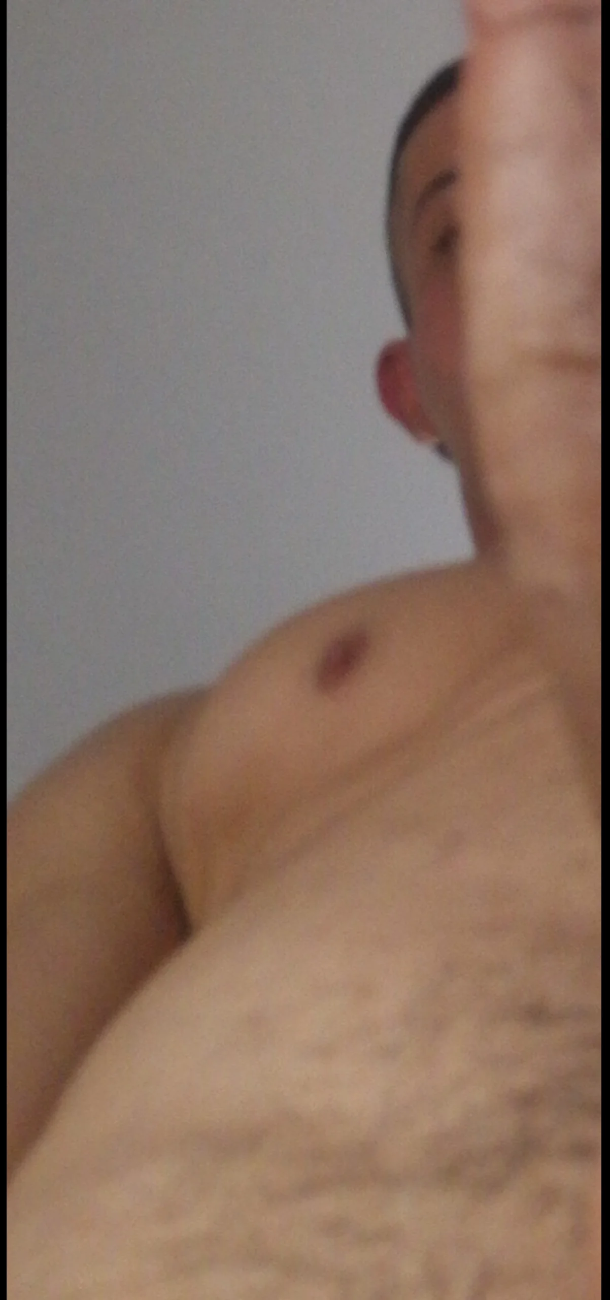 Bull_Xvi