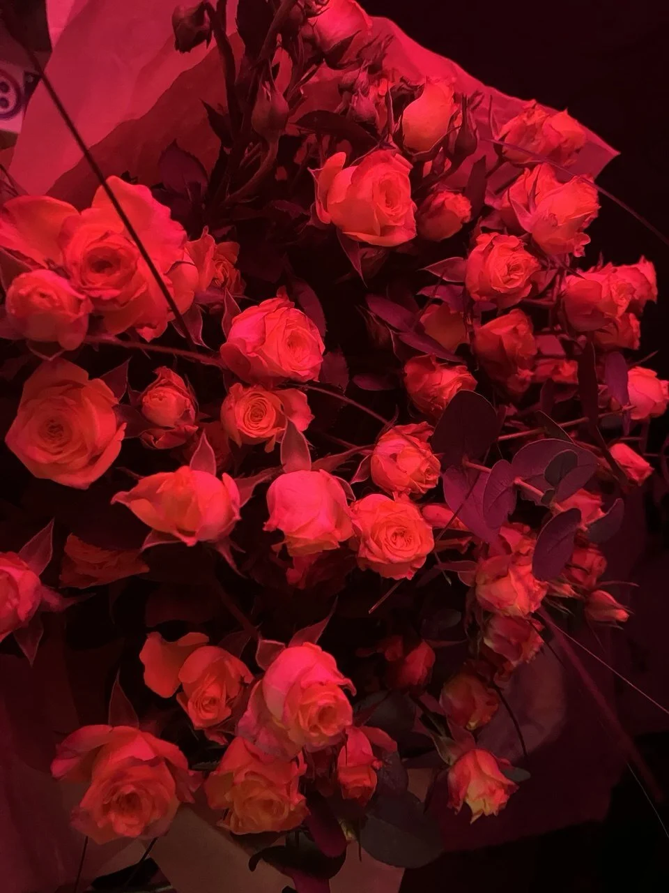 XXX Porn Photo of Nude Evelyn_Luxe 7