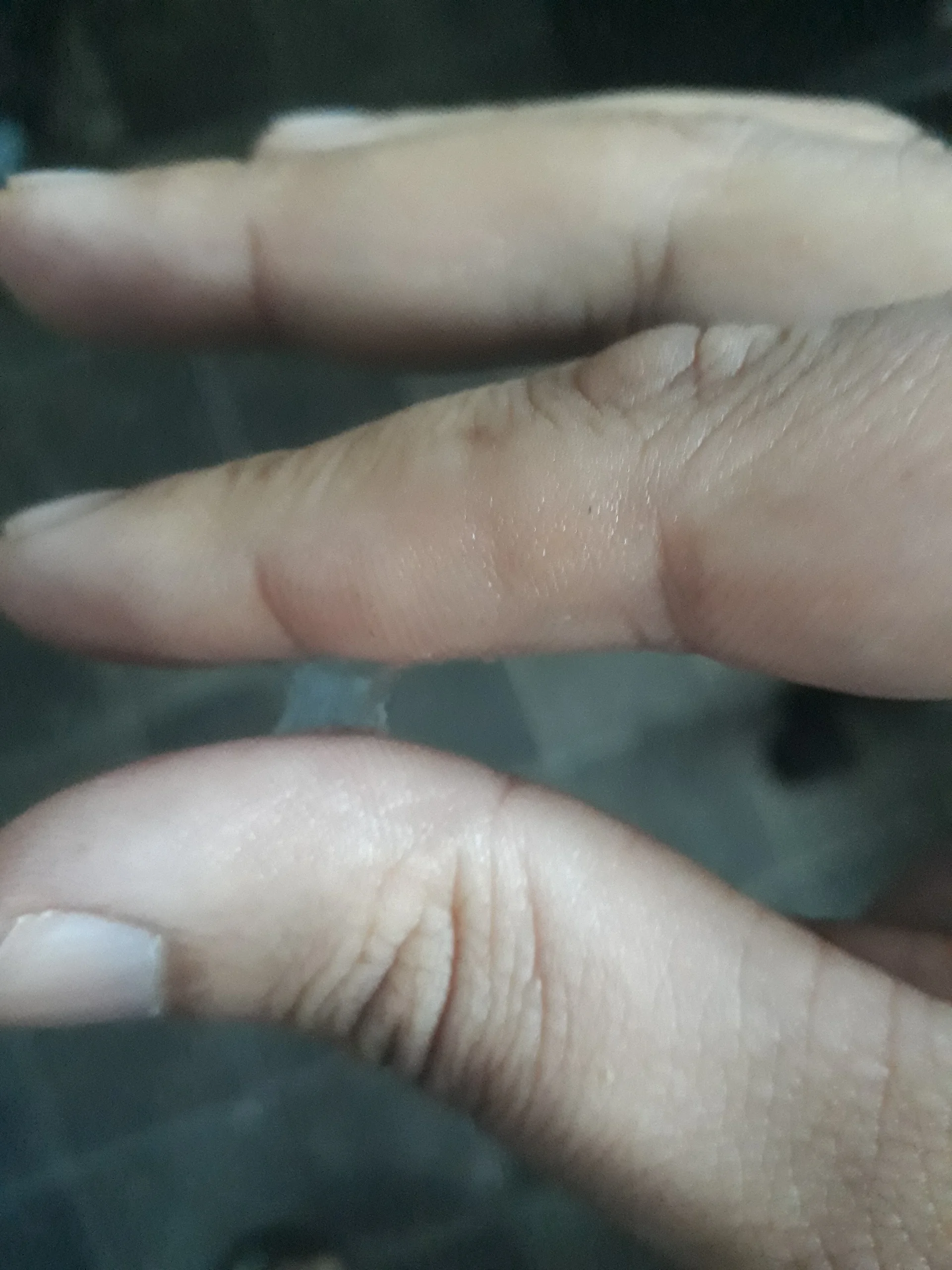 XXX Porn Photo of Nude NuttyProfesir 2
