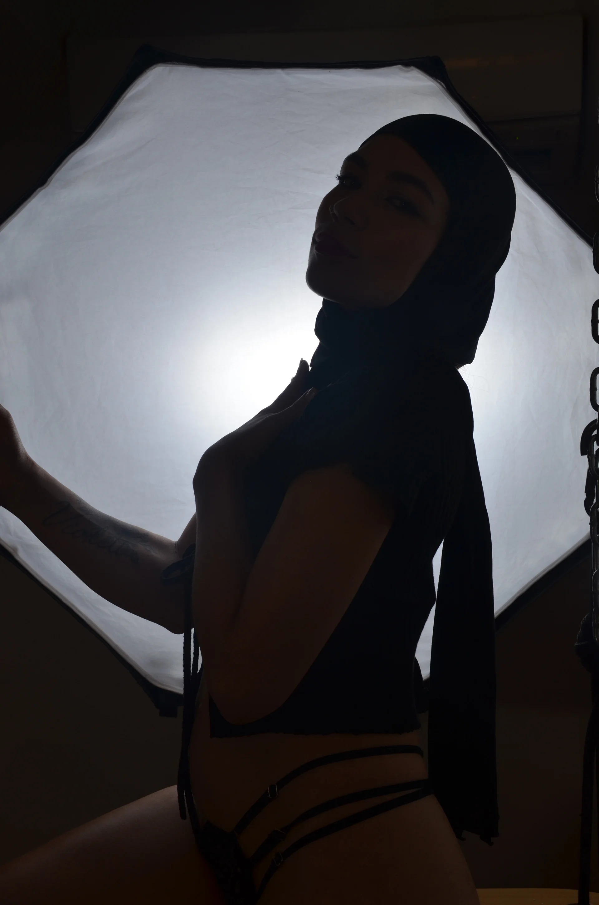 XXX Porn Photo of Nude aisha_vs 17