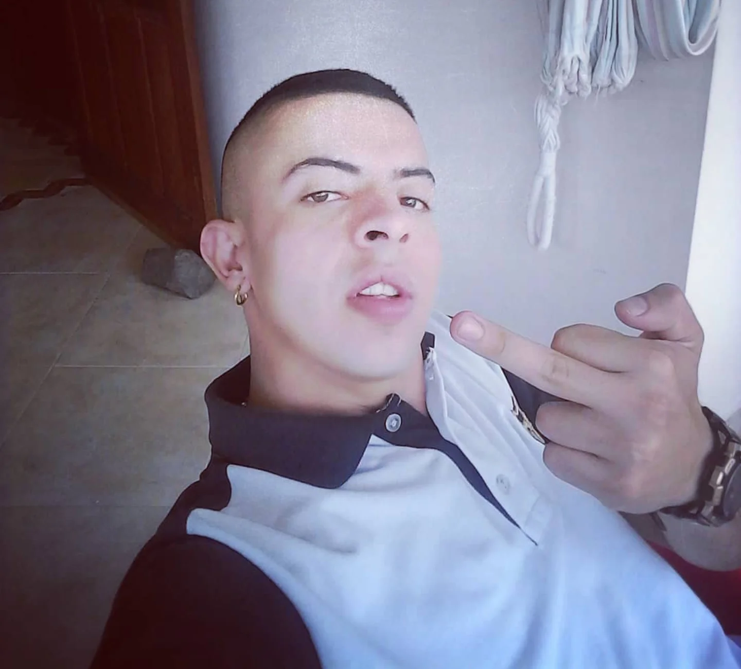 Bull_Xvi