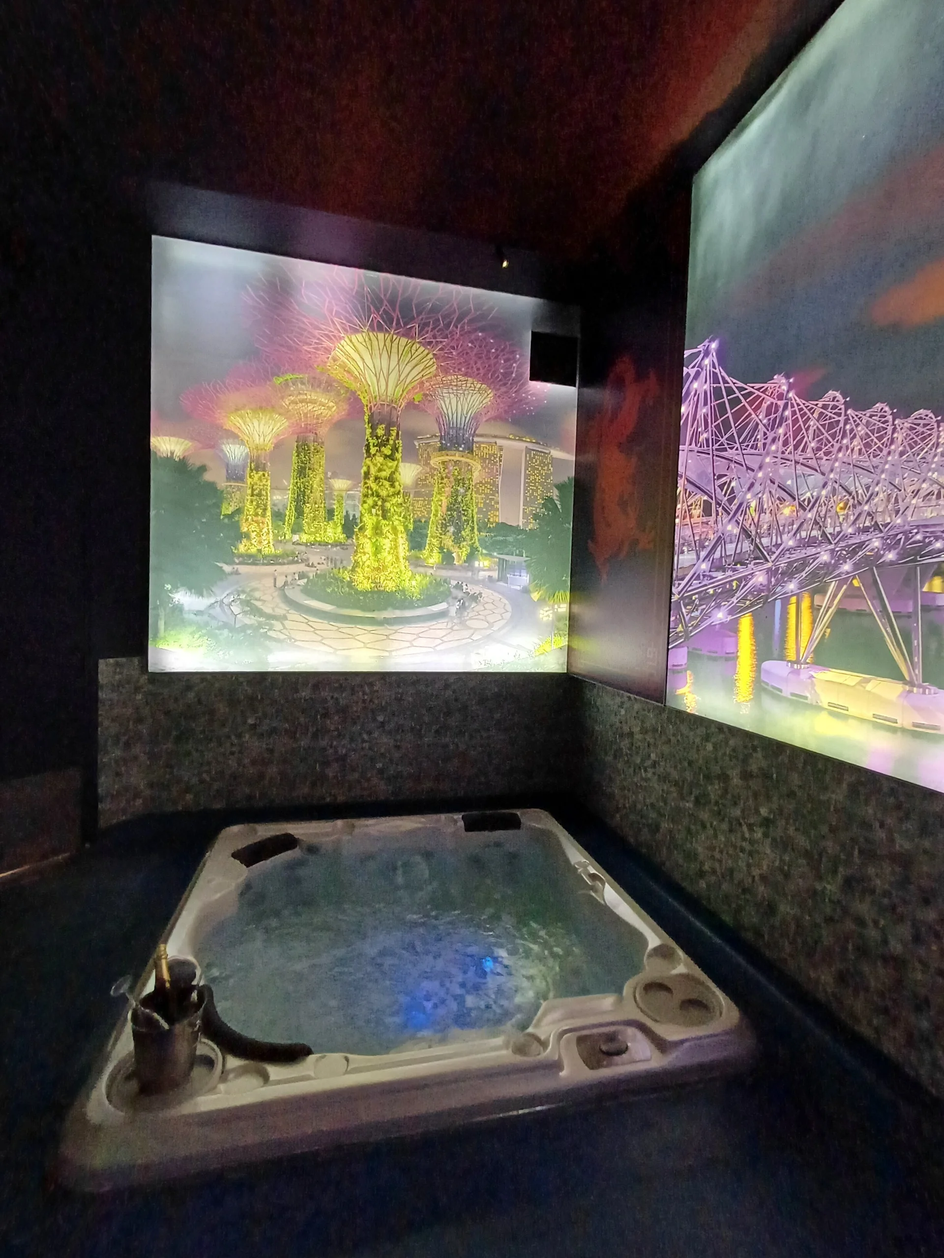 XXX Porn Photo of Nude Lia_Roxx 27