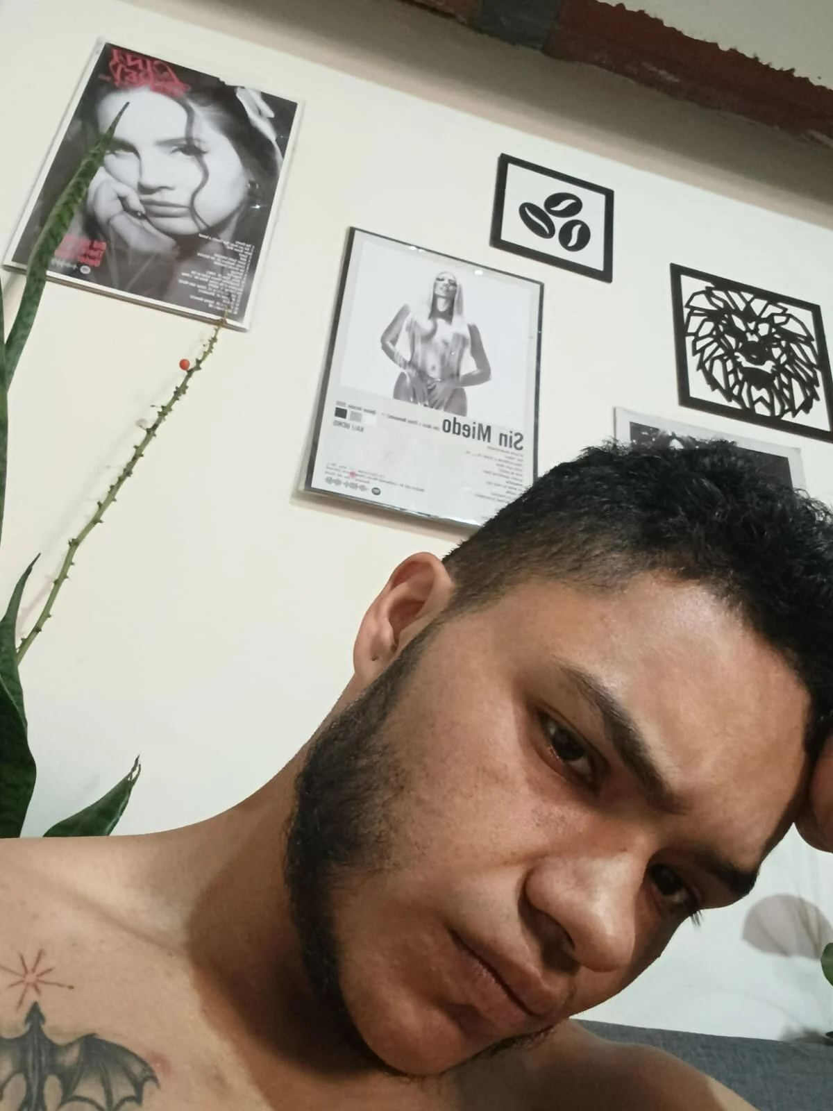 XXX Porn Photo of Nude seventh_ftm 3