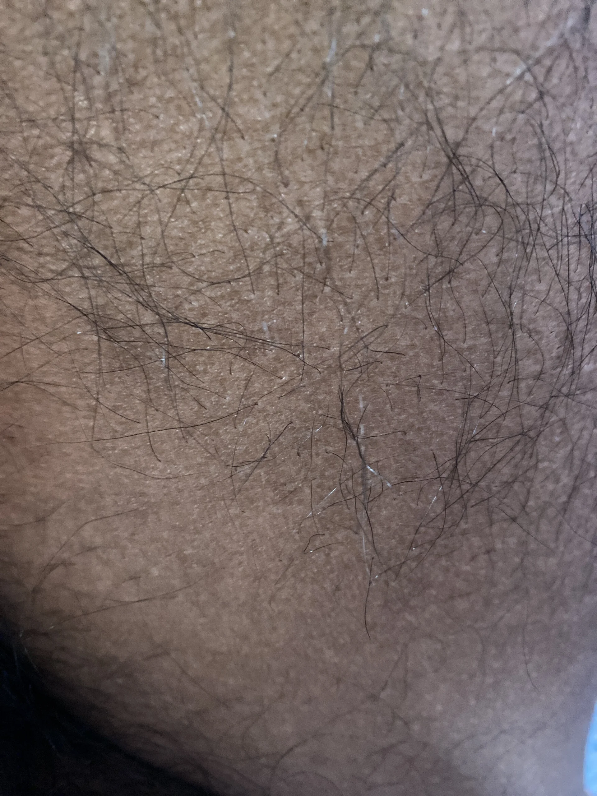 XXX Porn Photo of Nude desiboybigsize 4