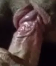XXX Porn Photo of Nude dicks-lover 26